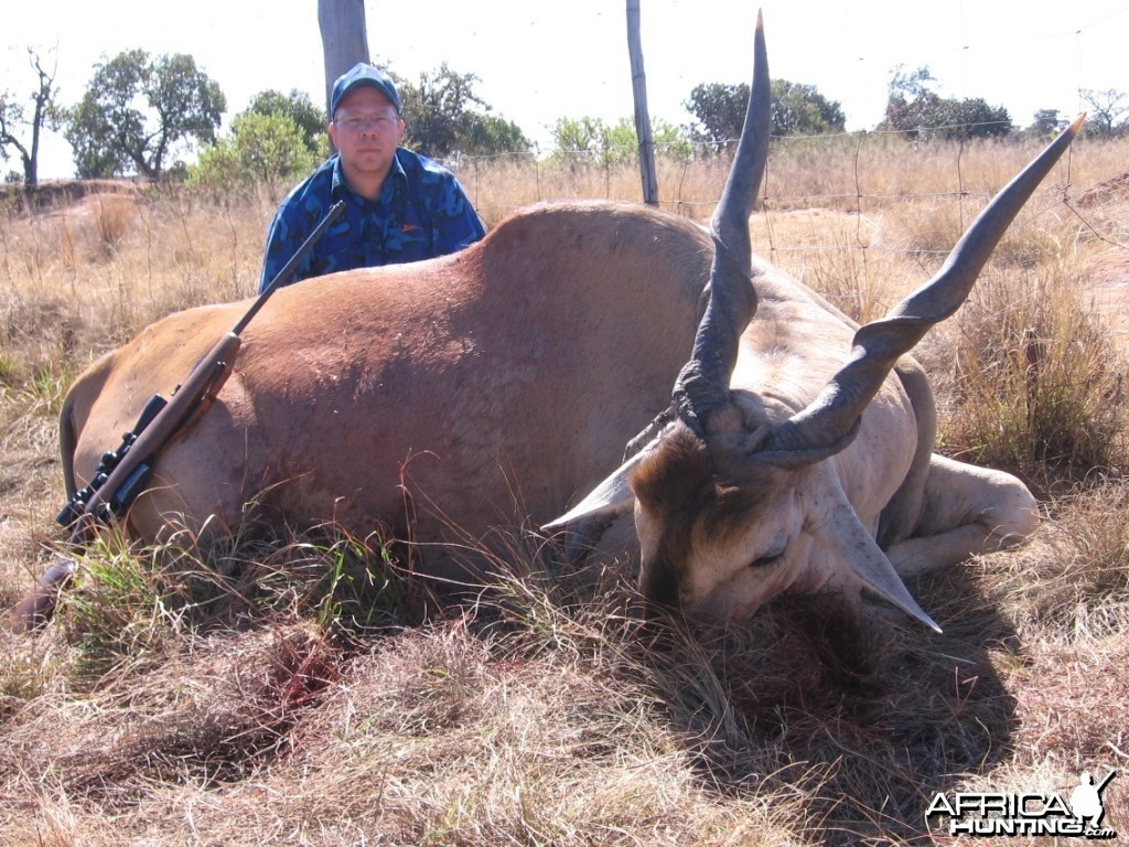 Cape Eland