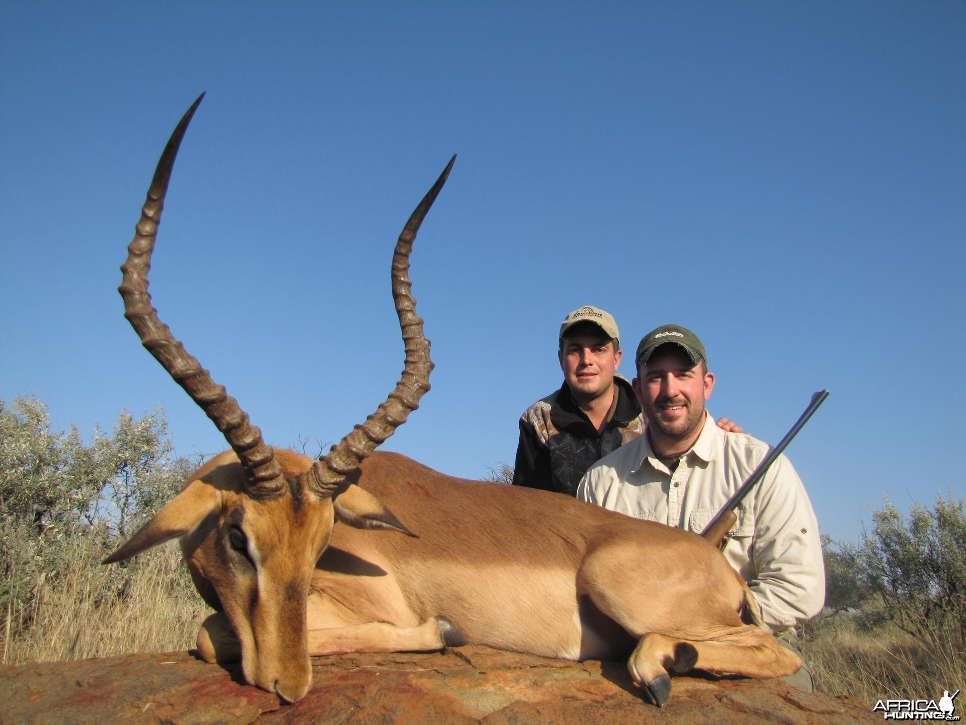 Impala hunted with Hartzview Safaris SA