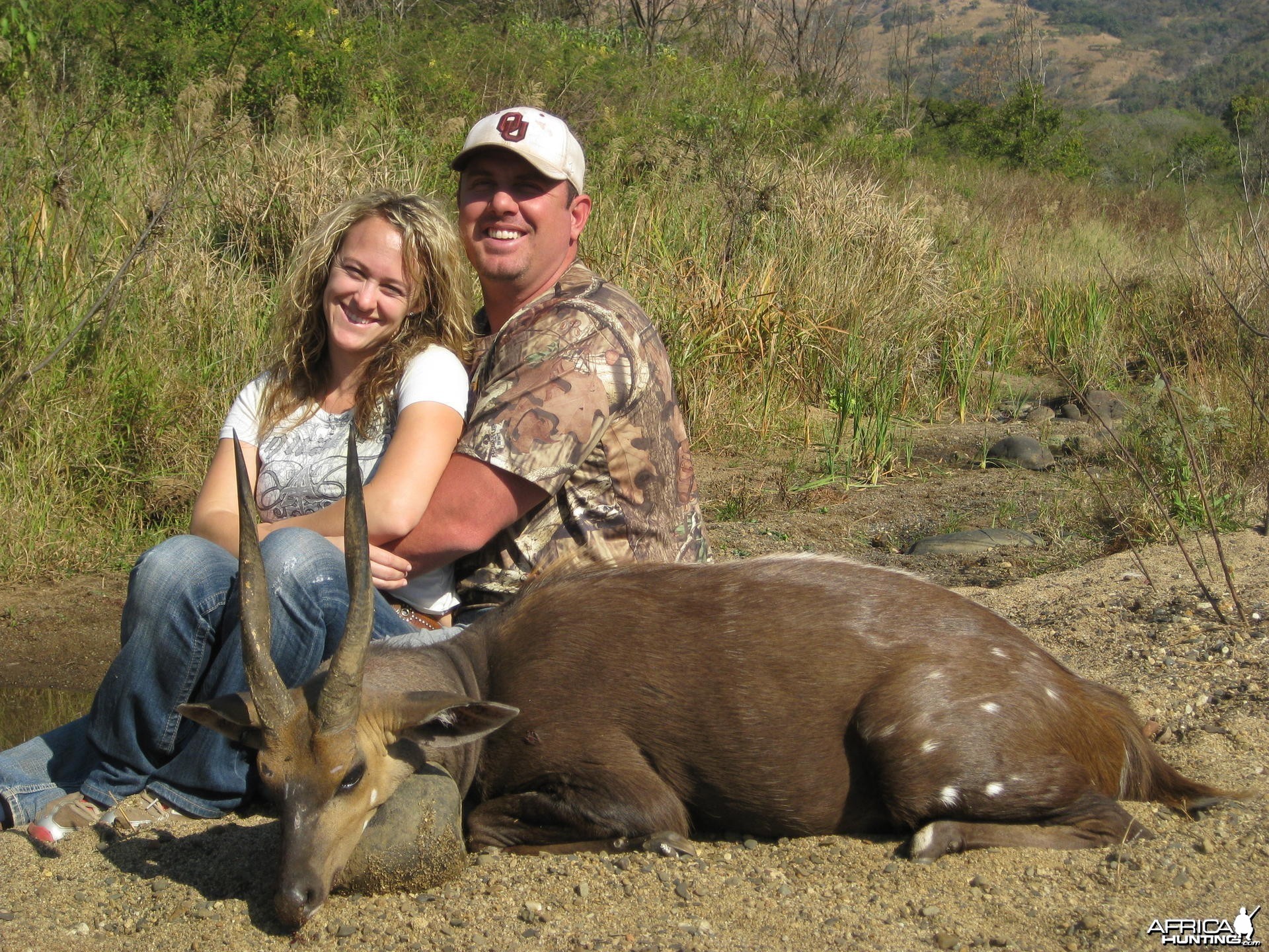 Bushbuck