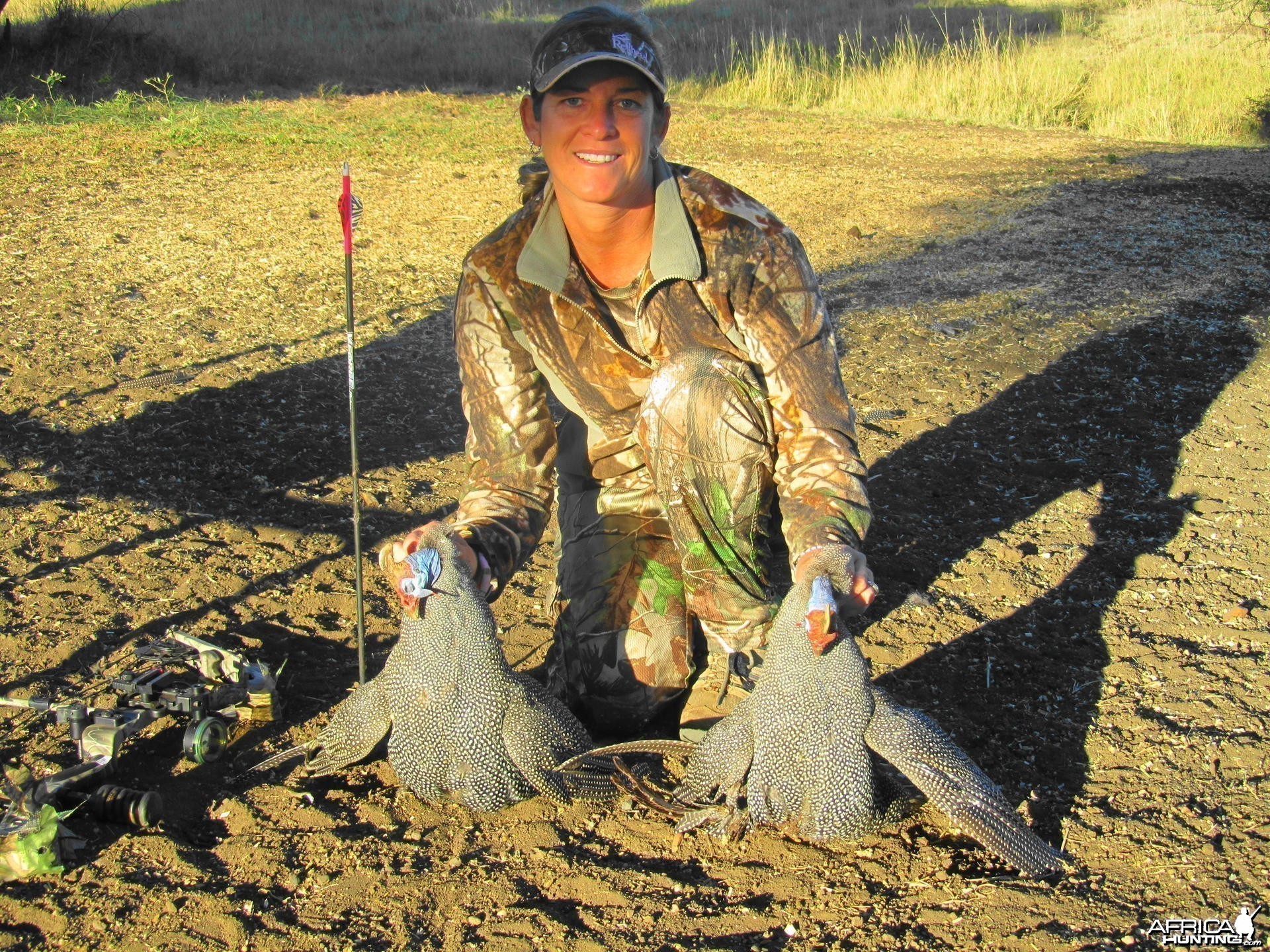 Guineafowl with Limcroma Safaris