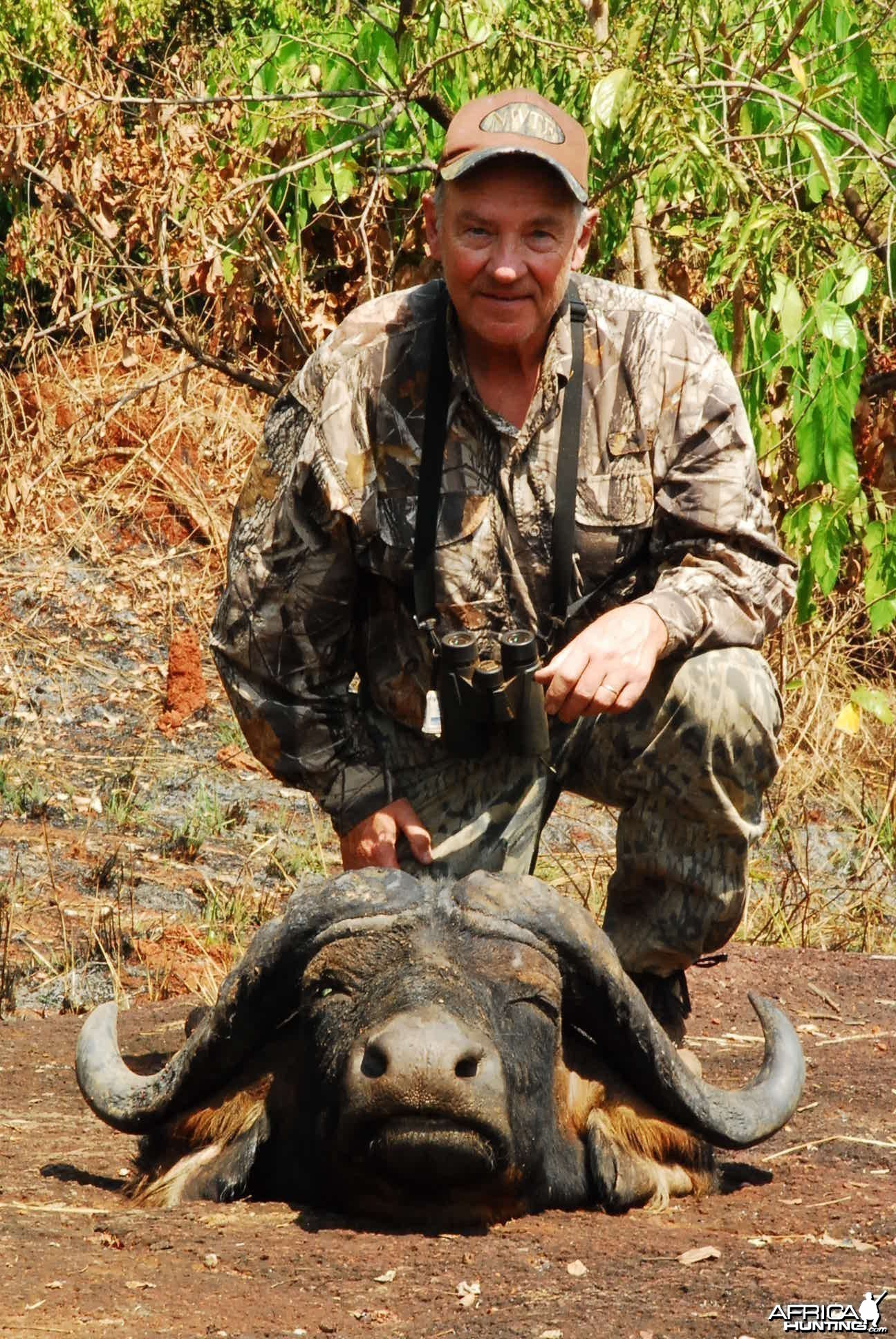 Deep curl Buffalo hunted in CAR with Central African Wildlife Adventures