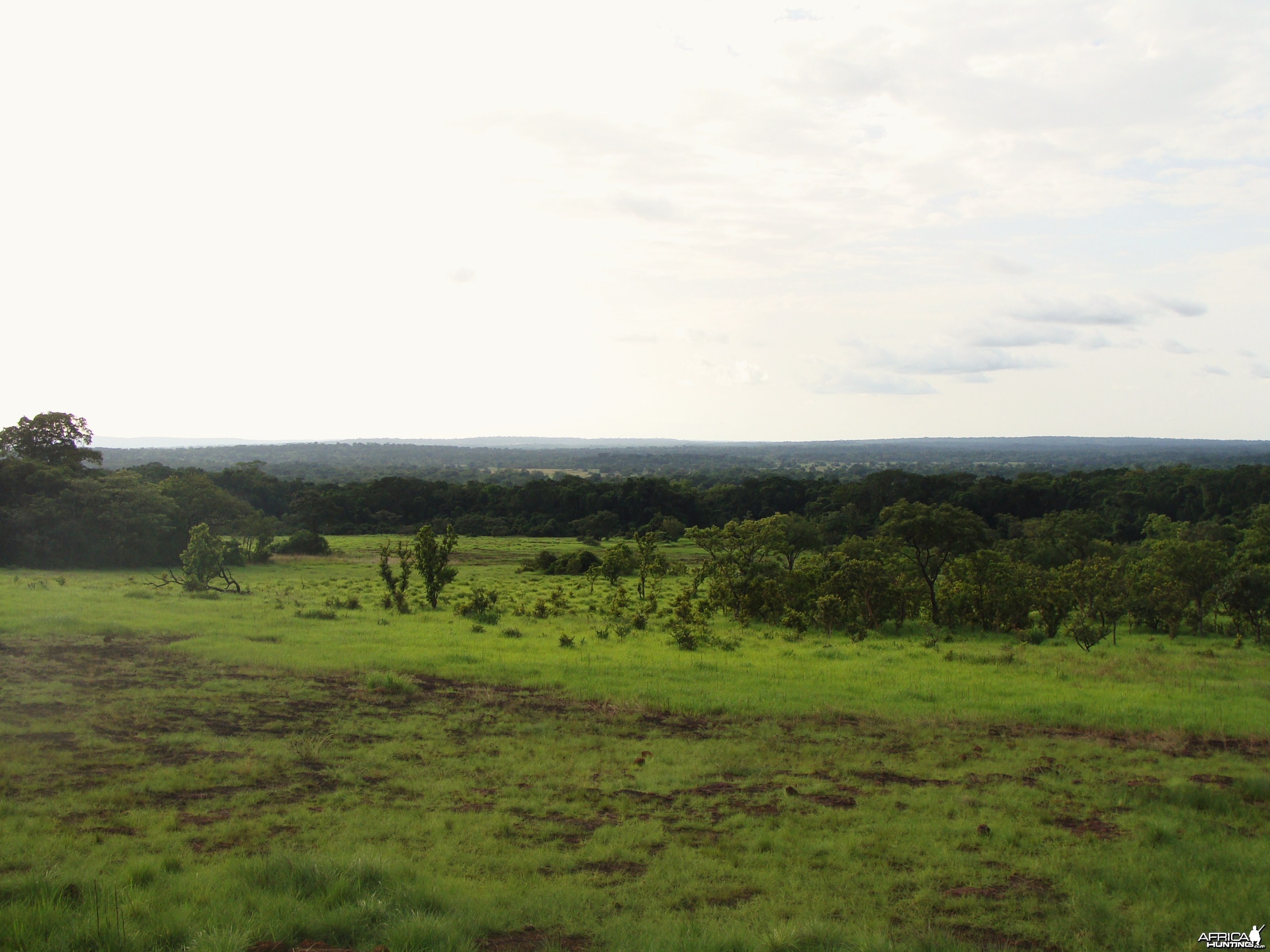 Mbari Plateau in CAR with Central African Wildlife Adventures