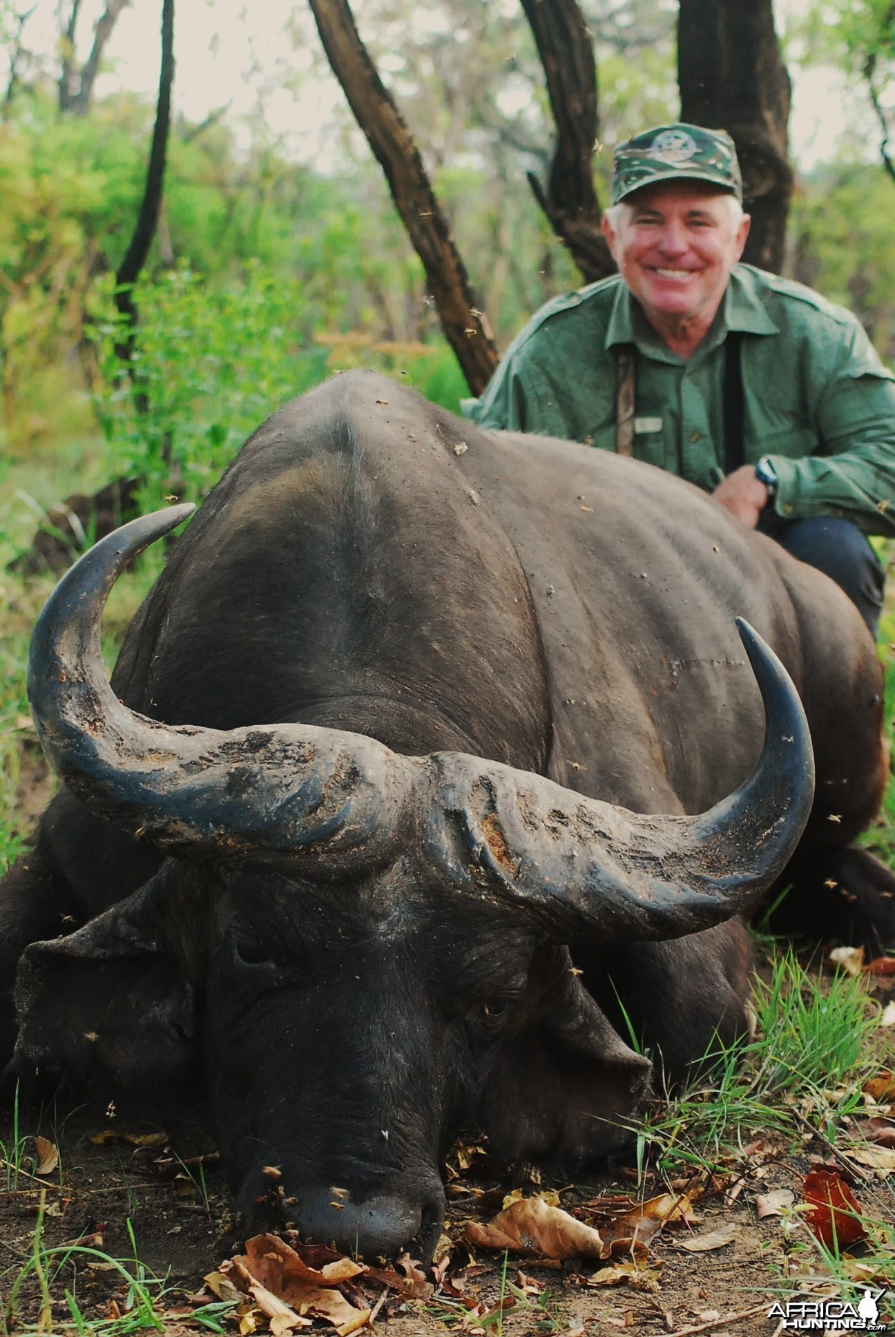 34 inch spread old Buffalo hunted in CAR with Central African Wildlife Adve