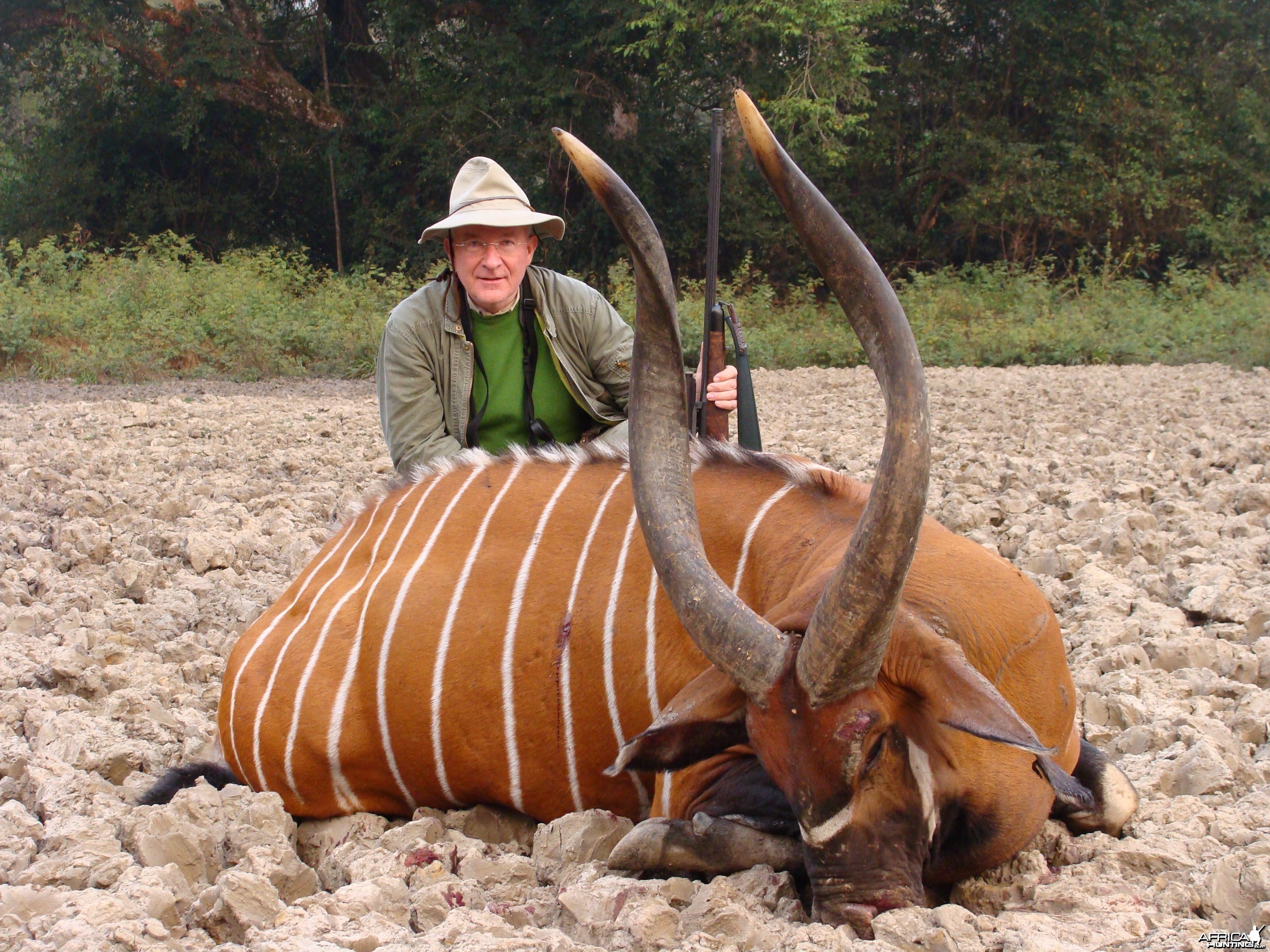 Bongo hunted in CAR with Central African Wildlife Adventures