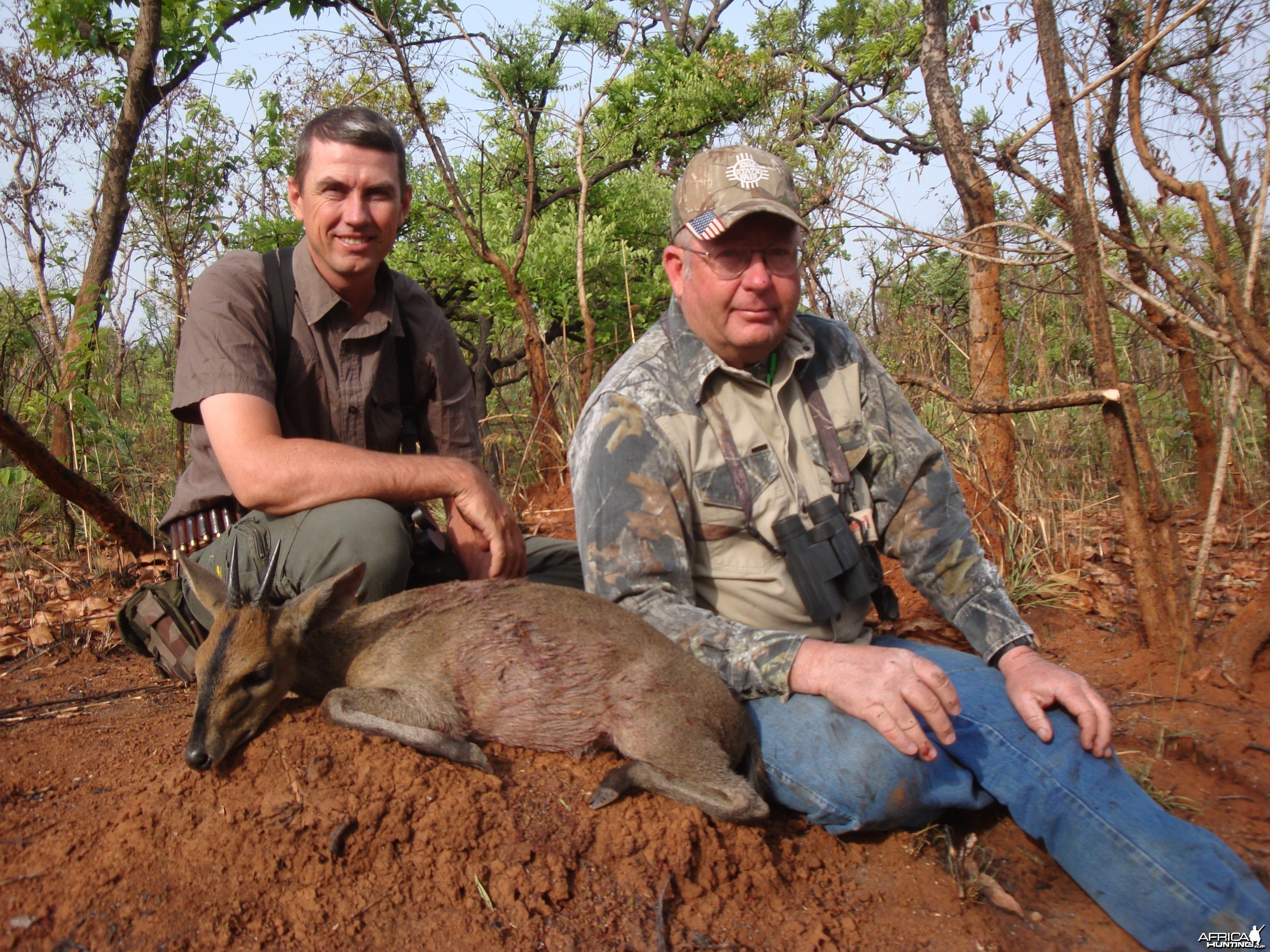 Bush Duiker hunted in CAR with Central African Wildlife Adventures