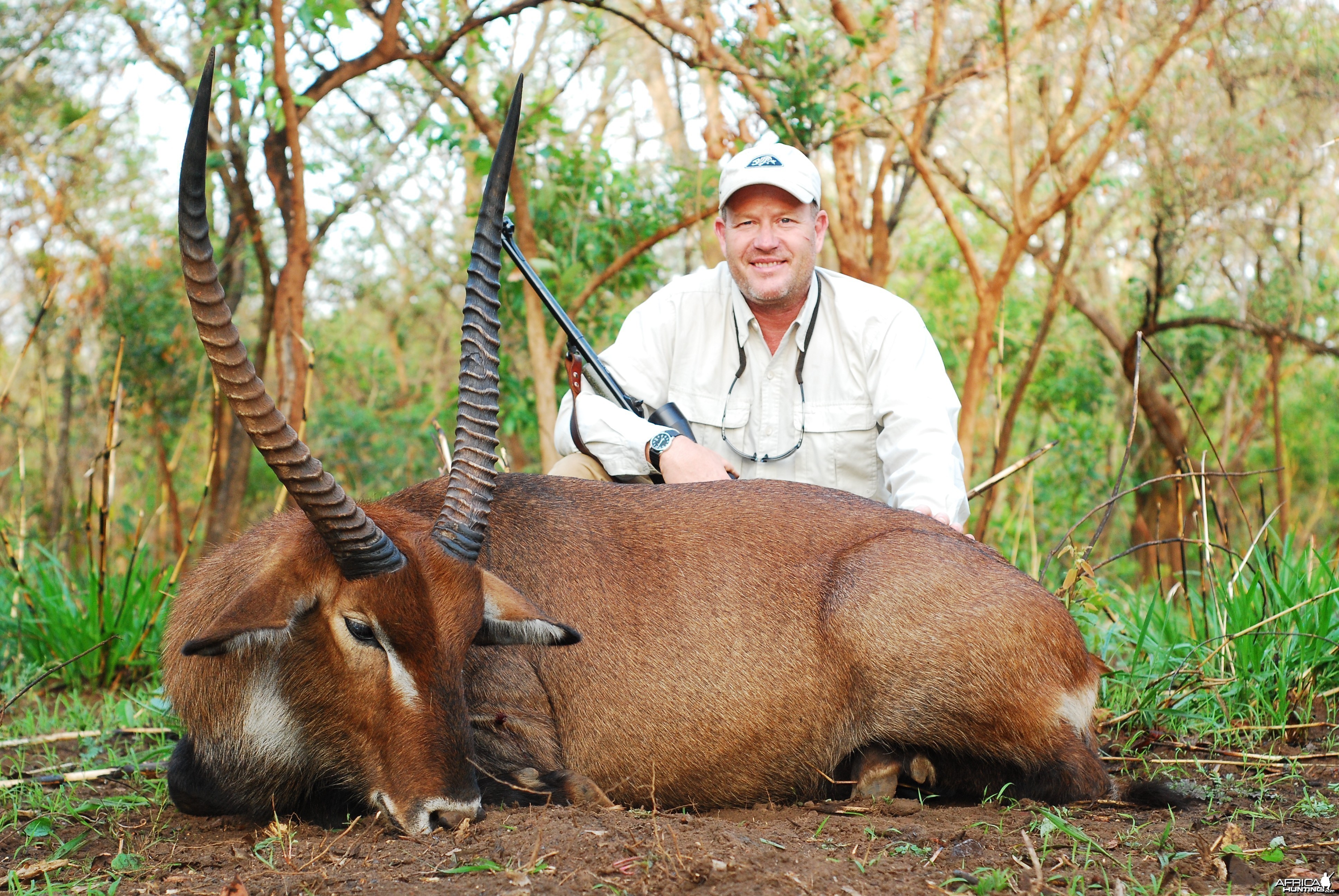 Waterbucks hunted in Central African Republic with CAWA