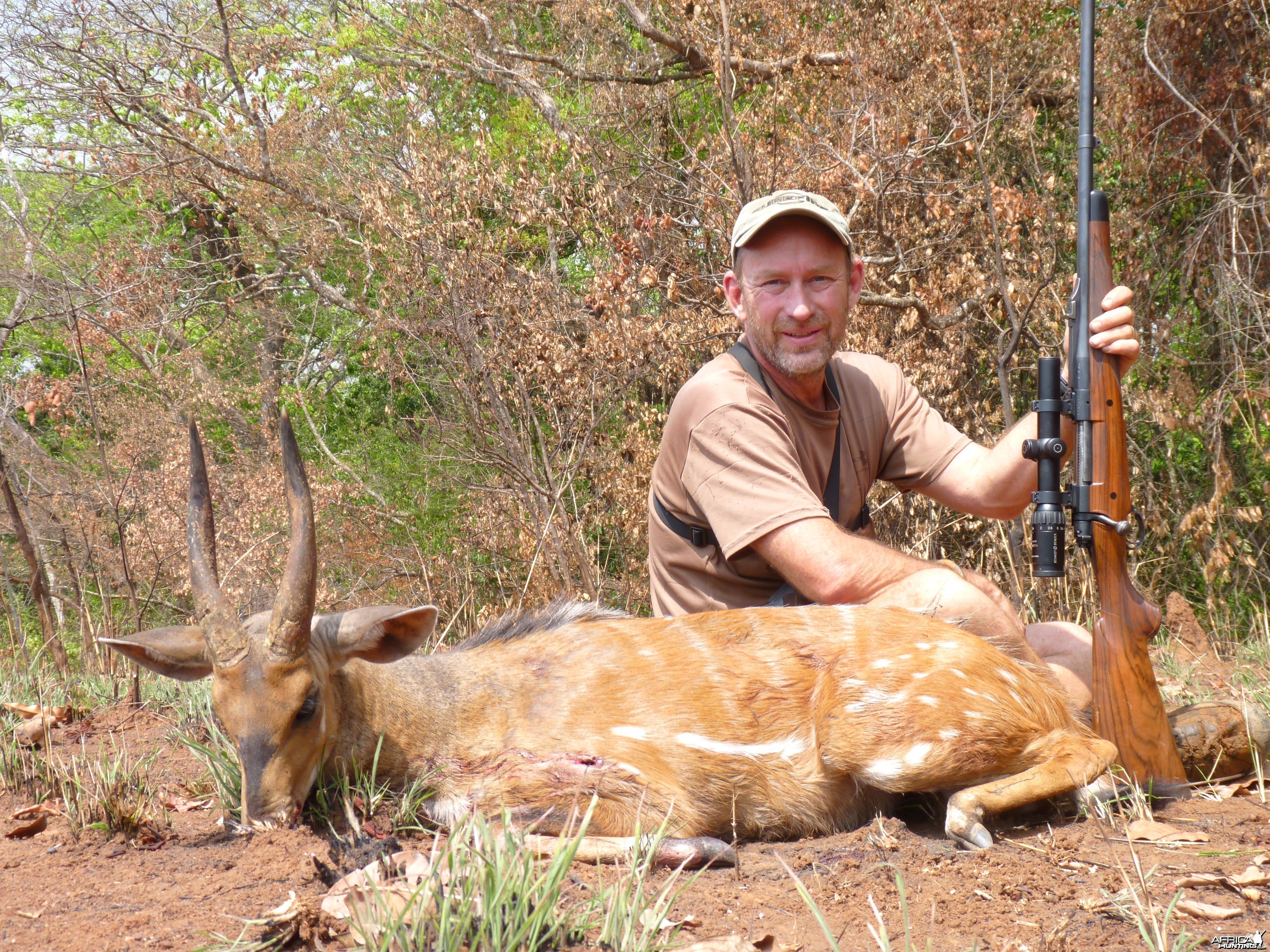 Bushbuck hunted in CAR with Central African Wildlife Adventures