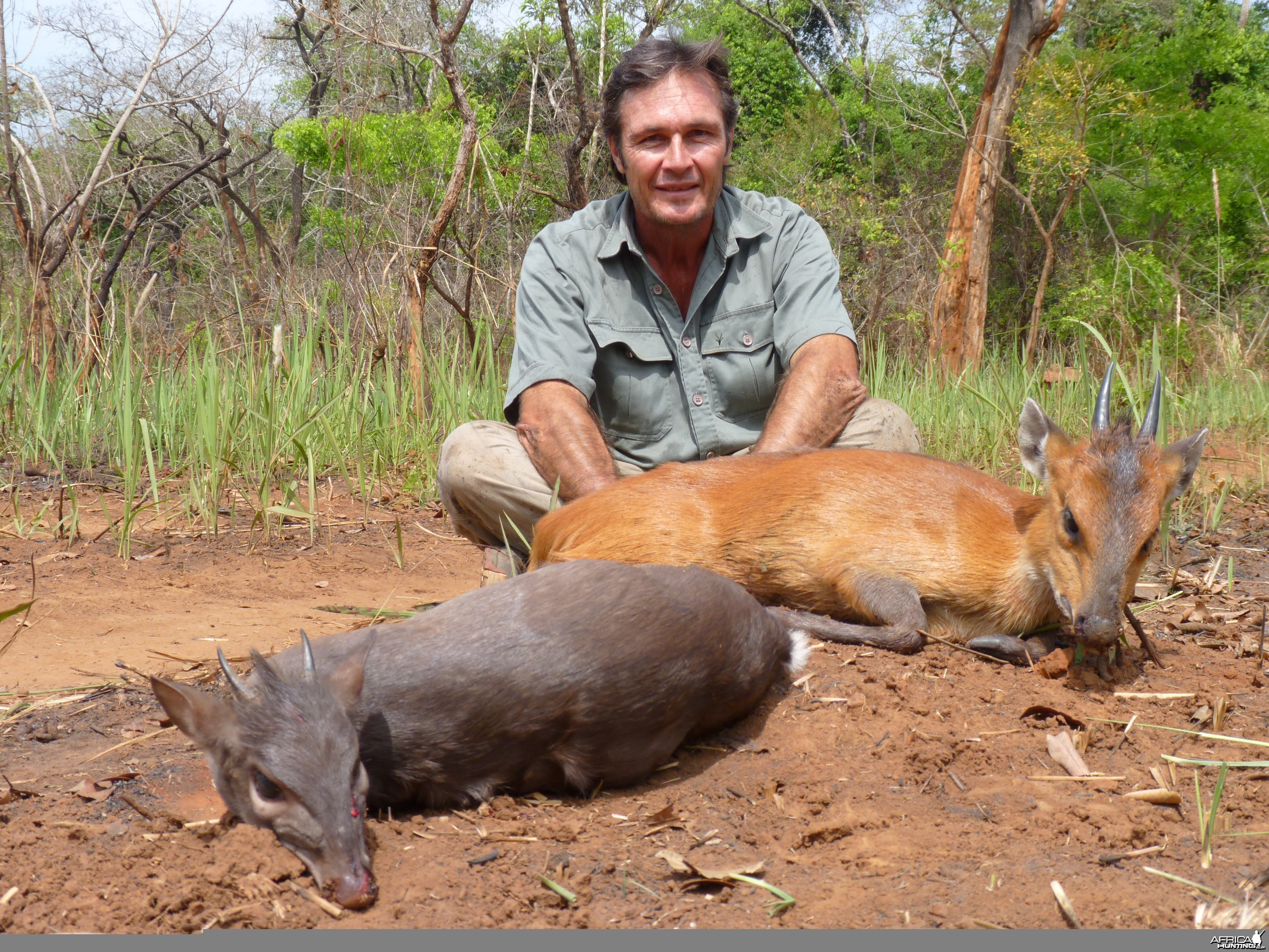 Red Flanked and Blue Duiker hunted in CAR with CAWA