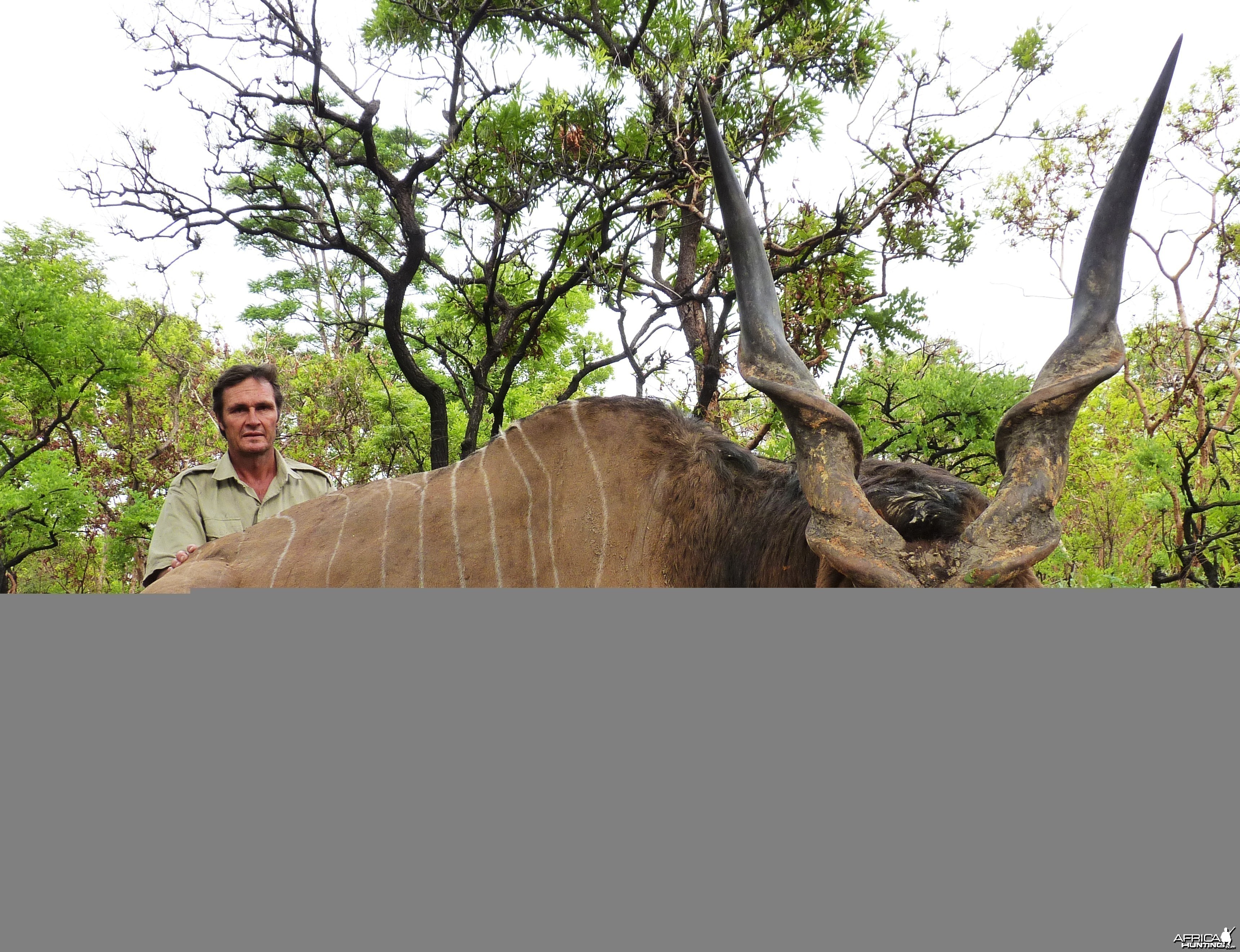 Lord Derby Eland hunted in Central African Republic with CAWA