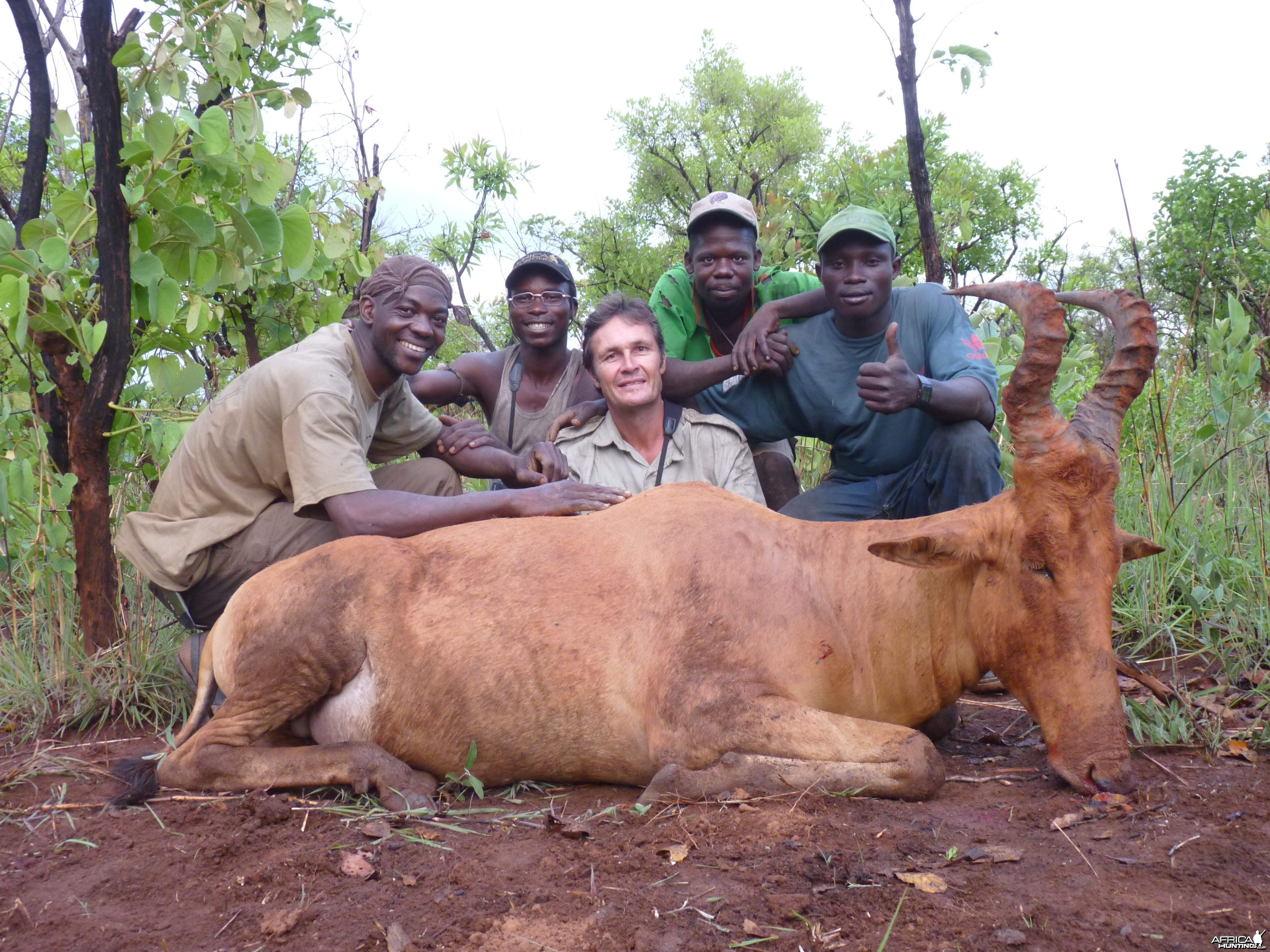 Hartebeest hunted in CAR with CAWA