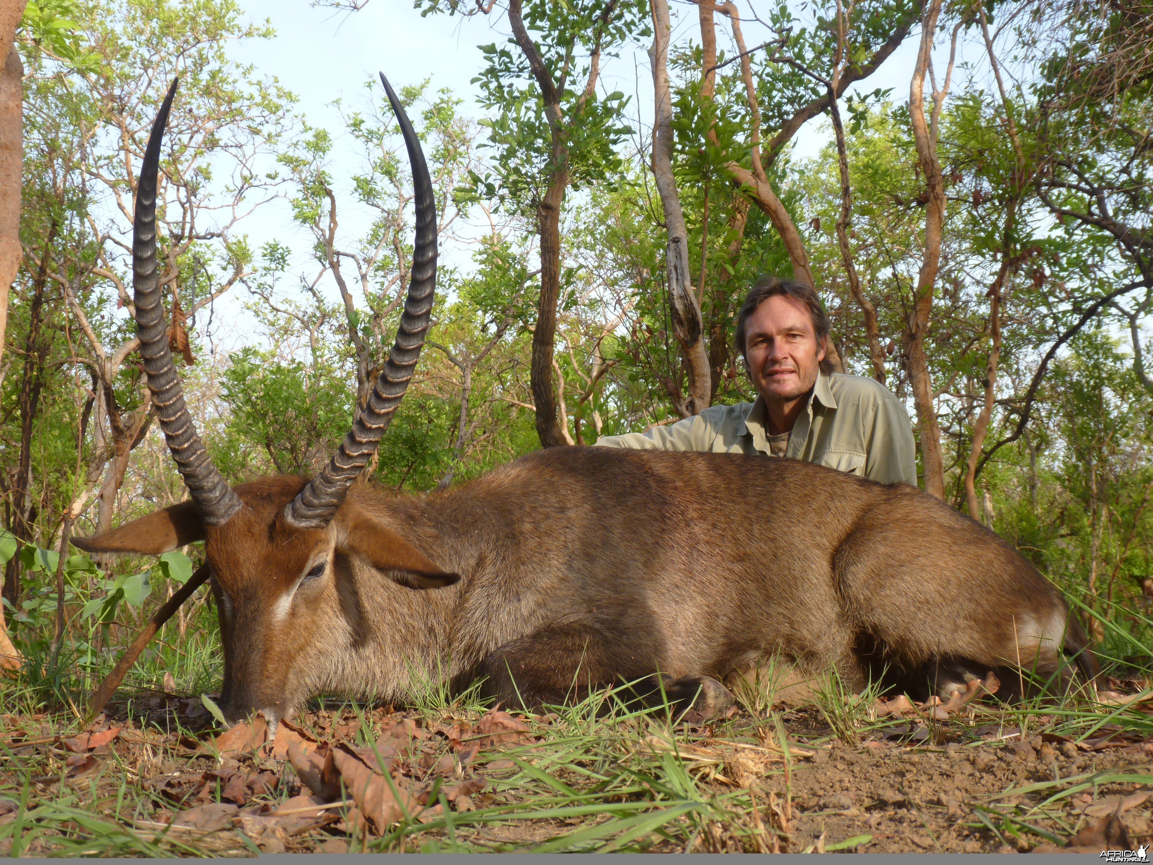 Waterbuck hunted in Central African Republic with CAWA