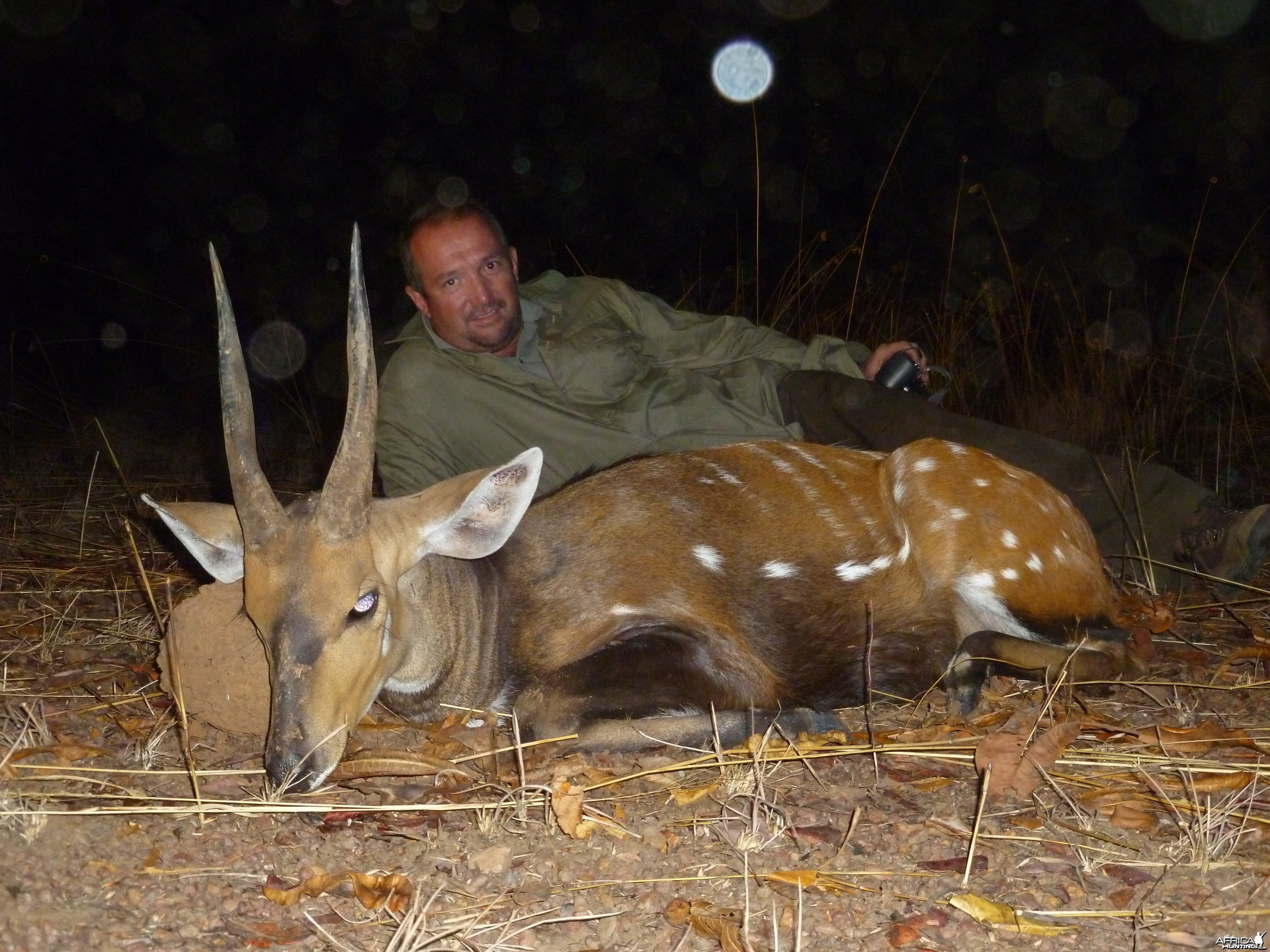 Bushbuck hunted in CAR with CAWA