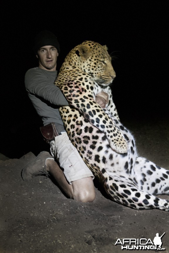 The Musomberi Monster Leopard, Zimbabwe