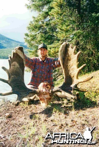 1999 Burnt Rose Moose