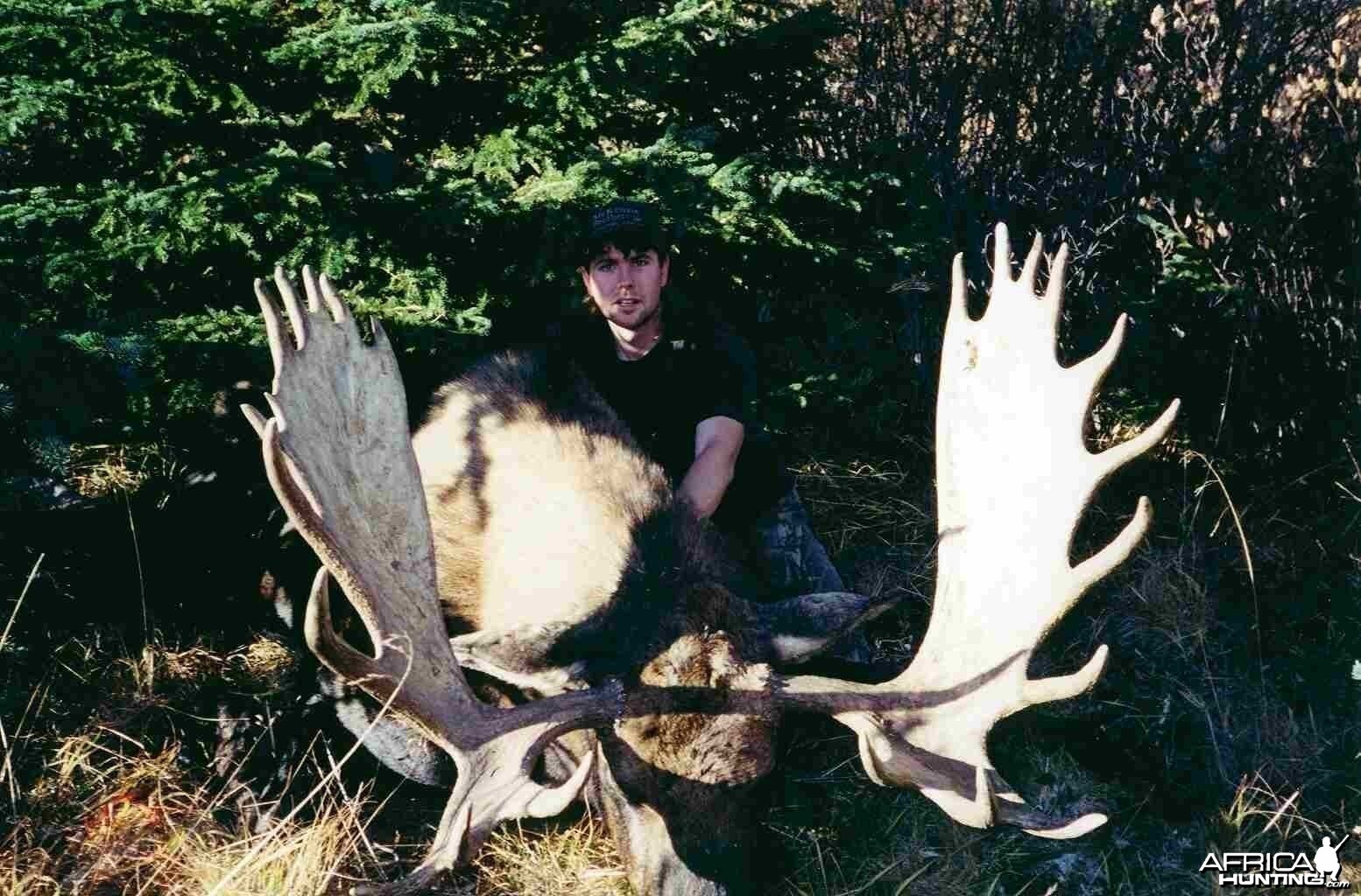 2001 Willmore Moose