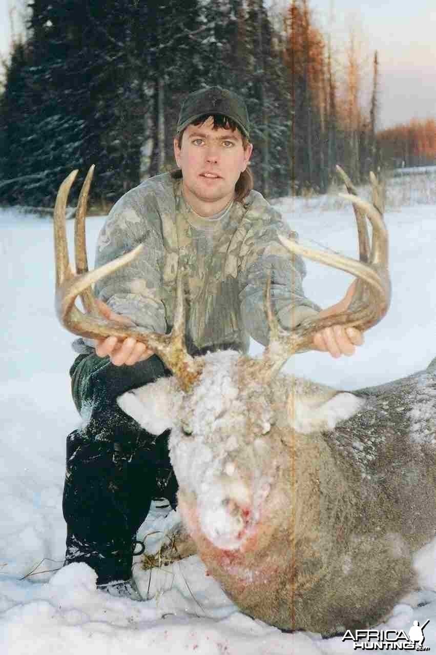 2003 Whitetail