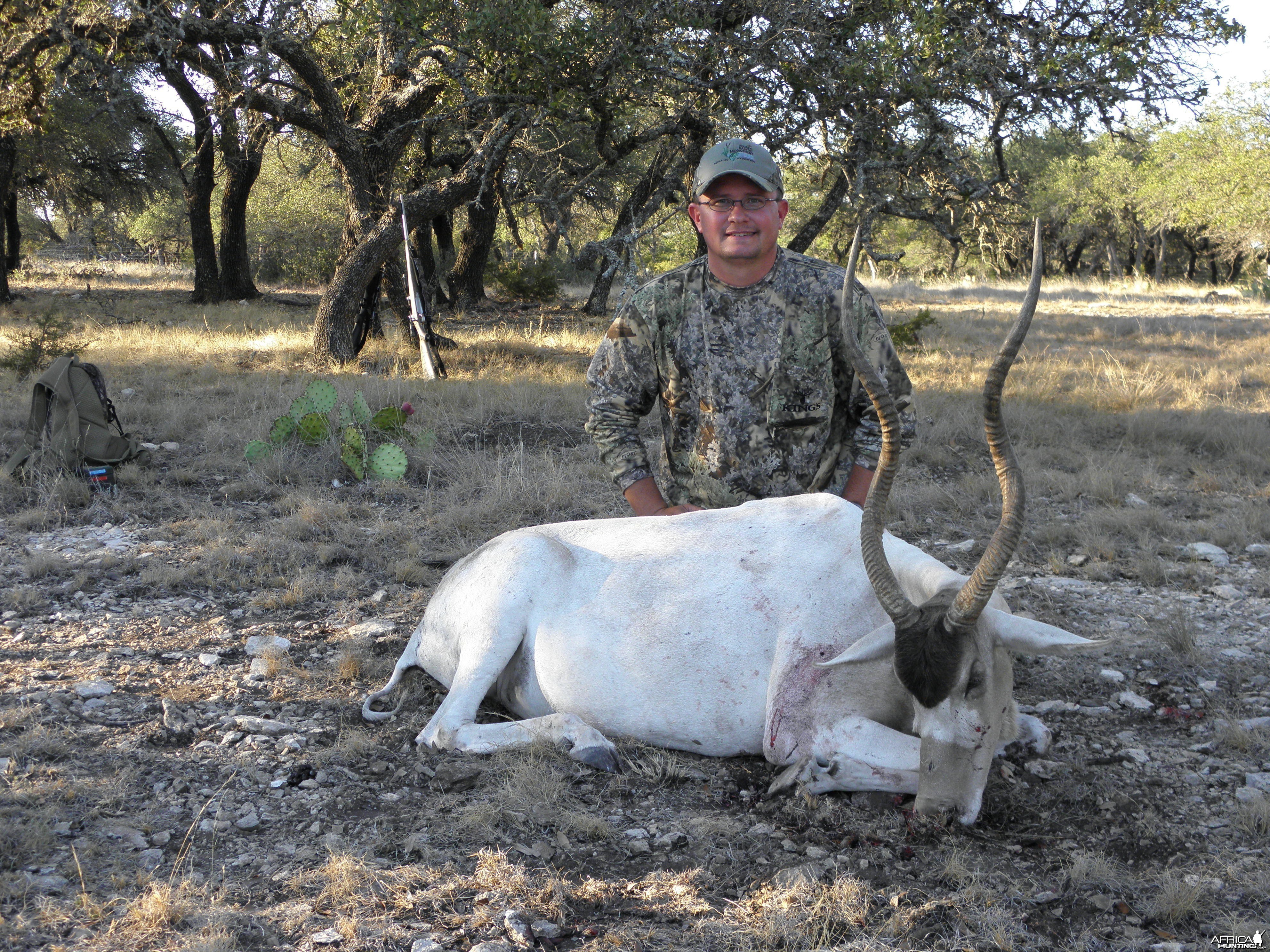 Addax 2011