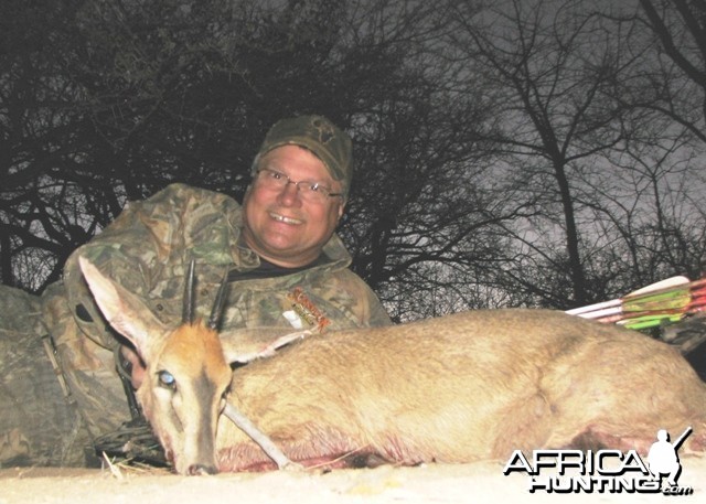 Grey Bush Duiker