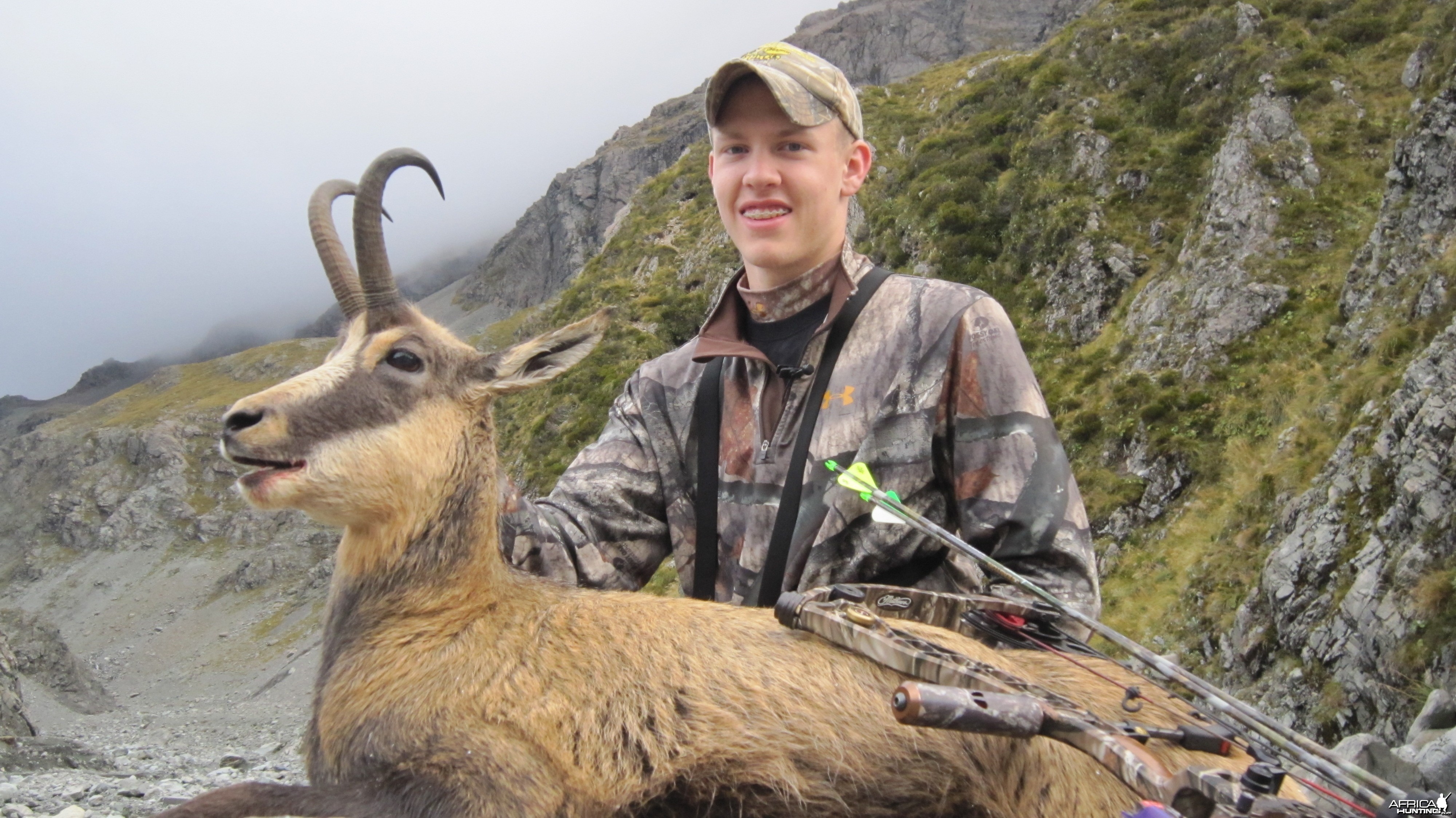 New Zealand Chamois