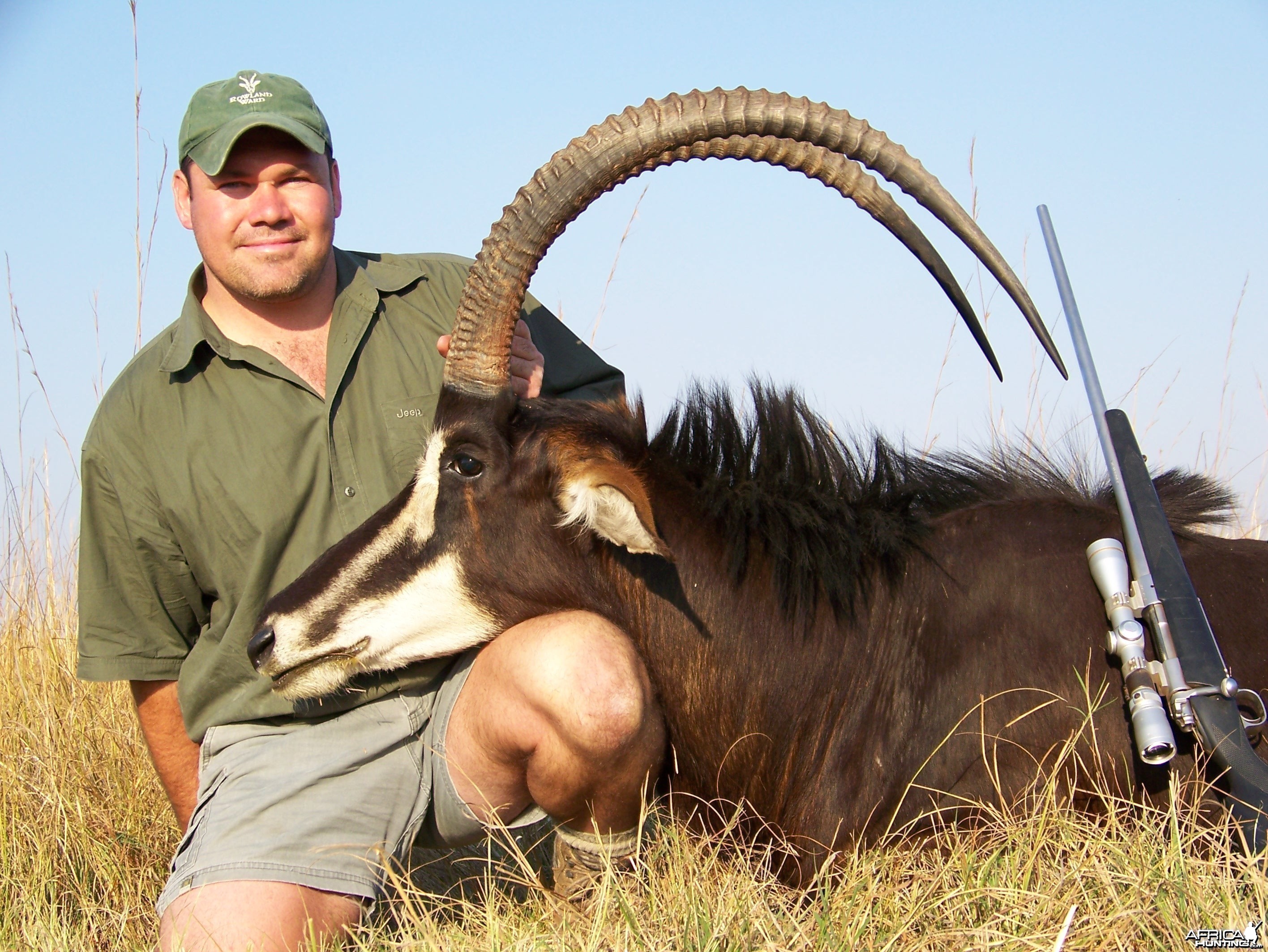 Sable Chobe Zimbabwe