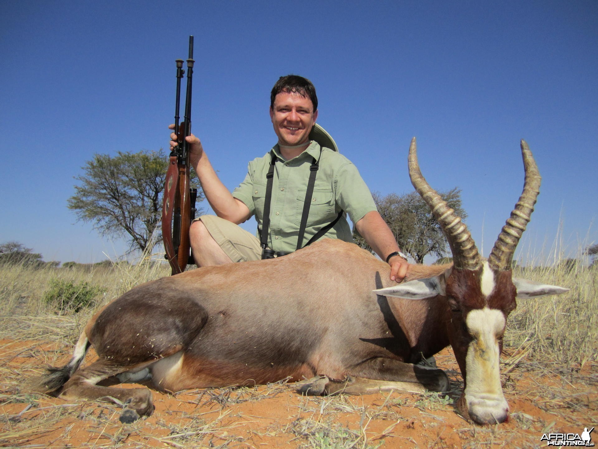 Blesbok Namibia