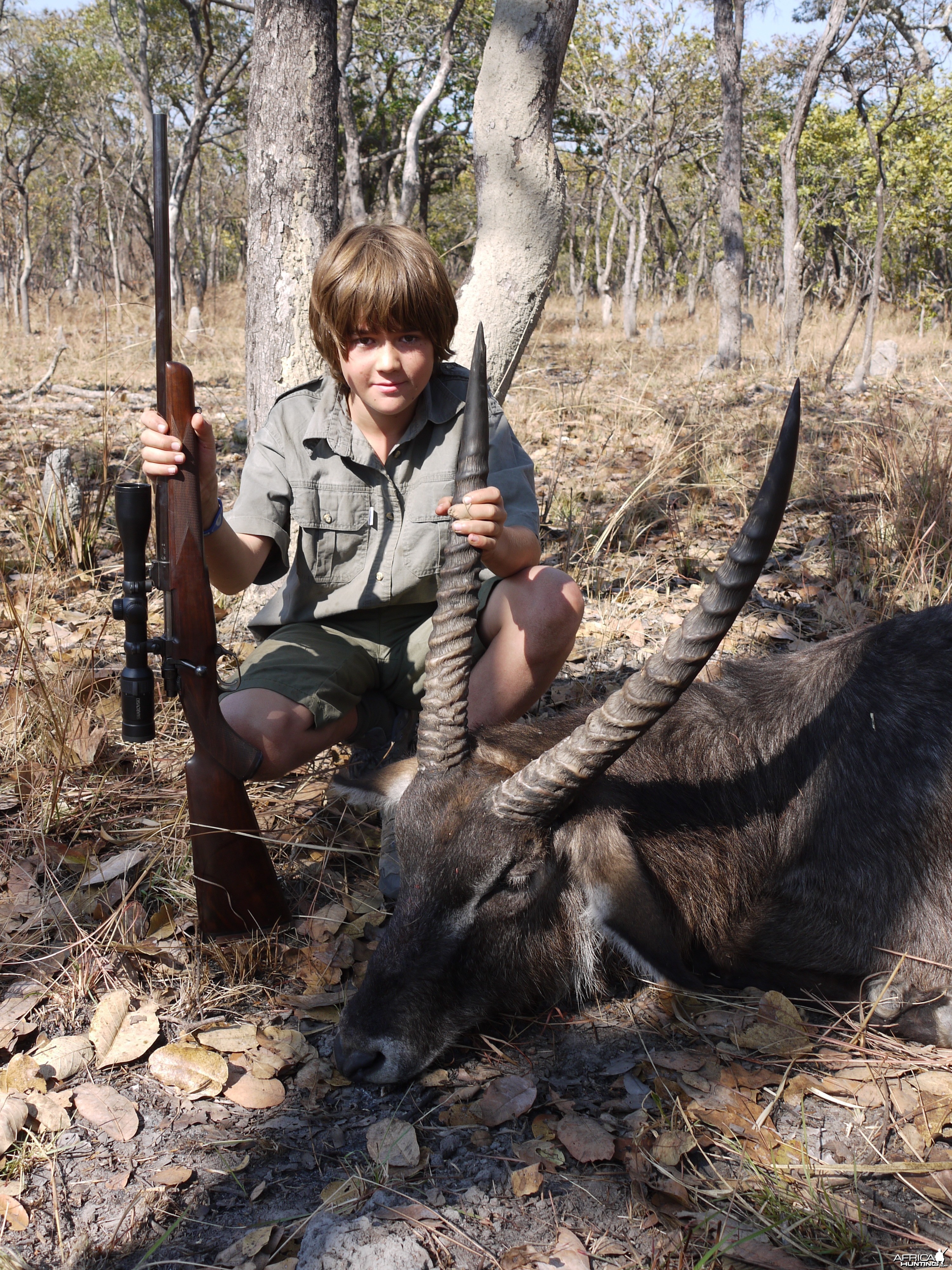 Defassa Waterbuck