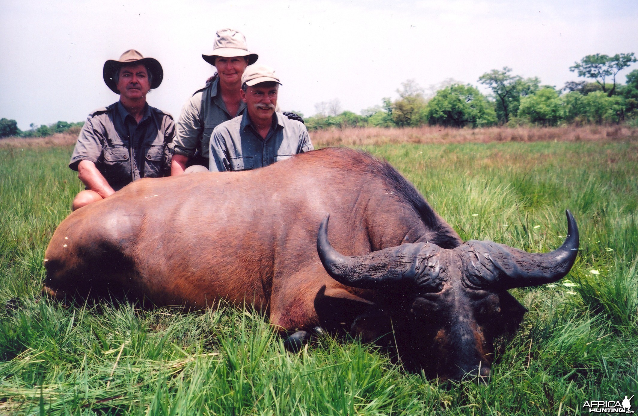 Hunting Buffalo in CAR with Rudy Lubin Safaris