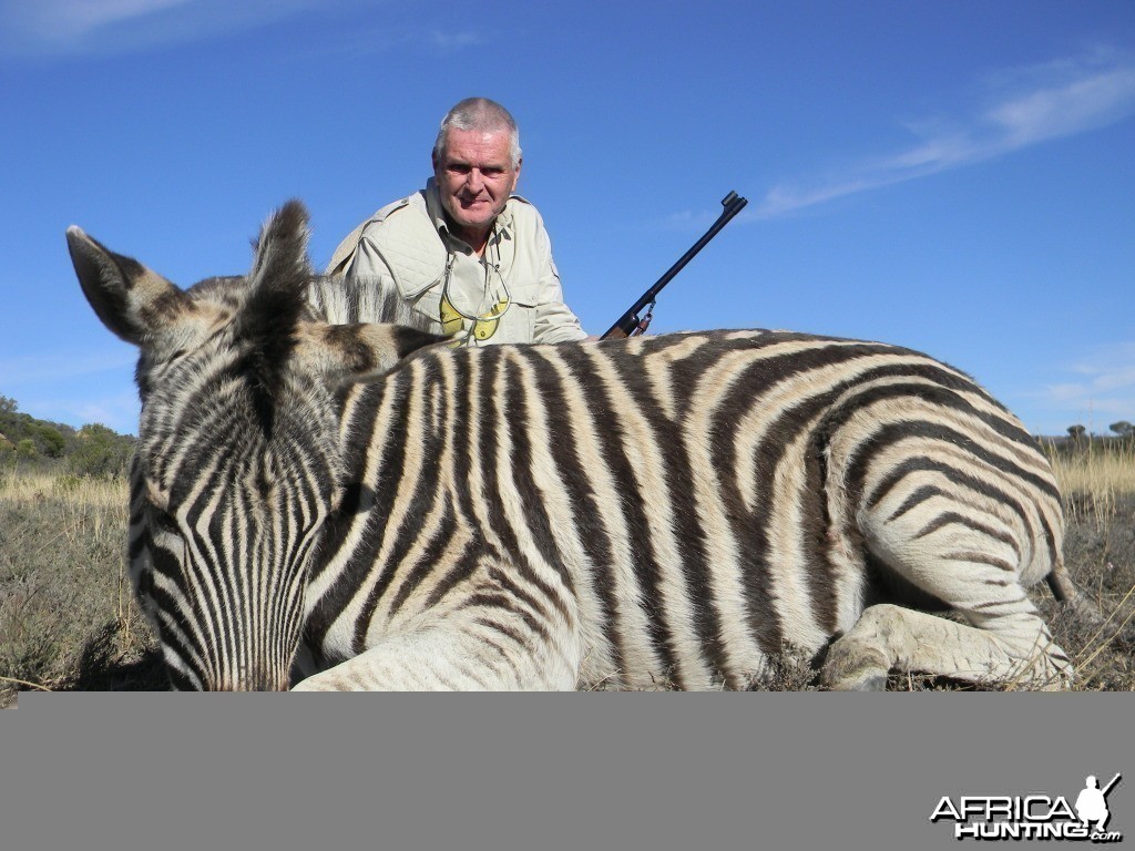 Zebra South Africa