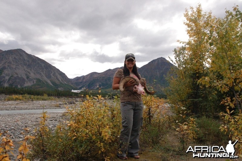 My wife with her Dall Sheep hunted in Alaska