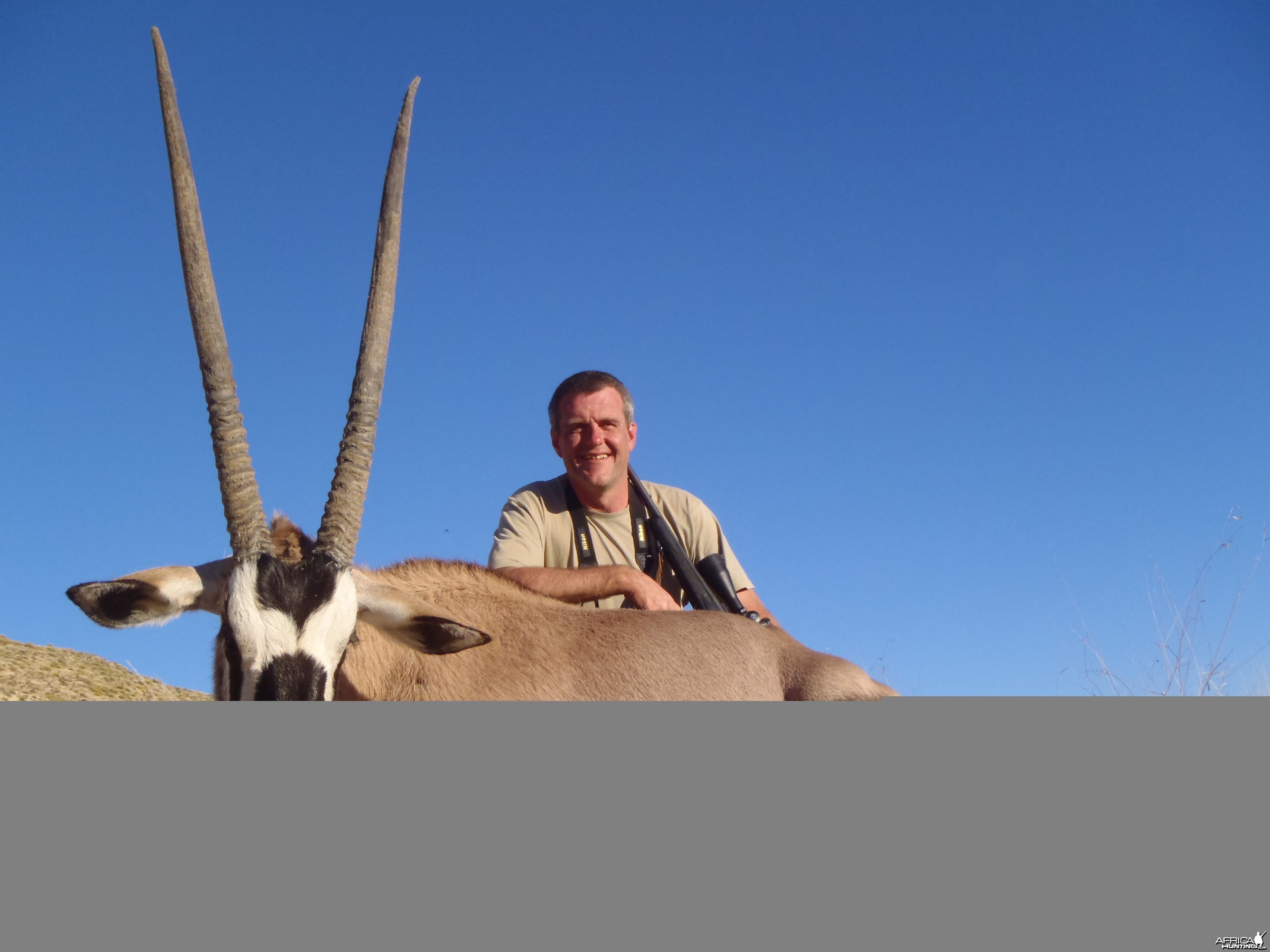 Gemsbok