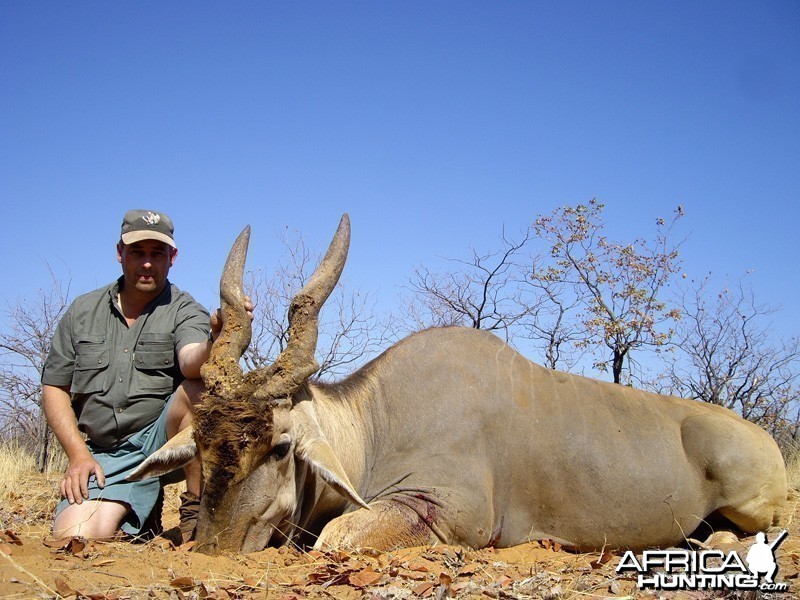 Eland hunted in Zimbabwe