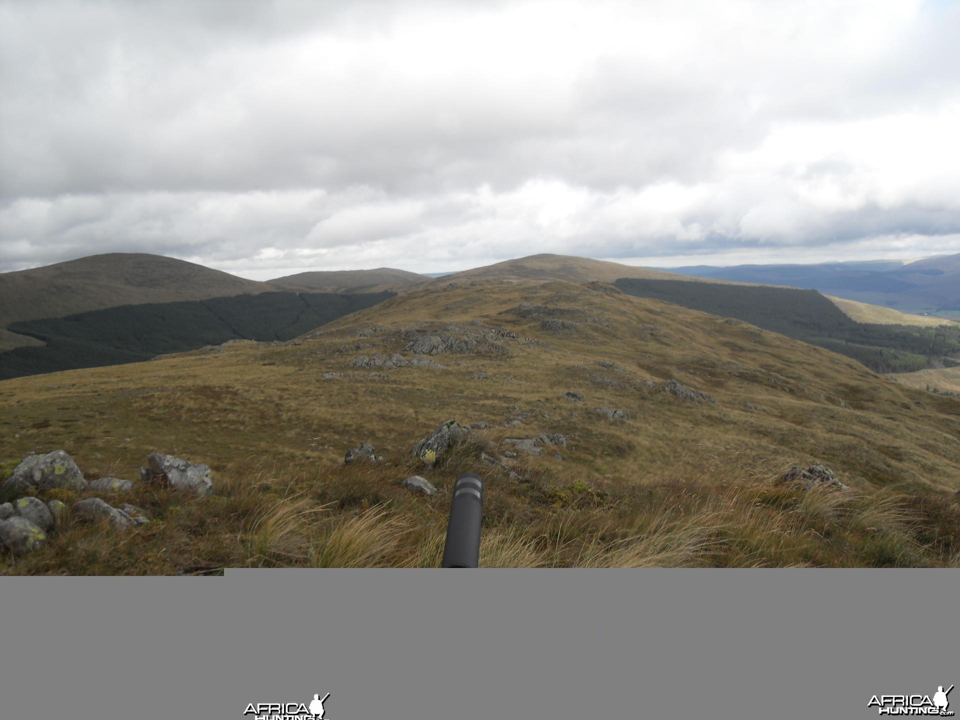 Hunting in the Scottish Mountains