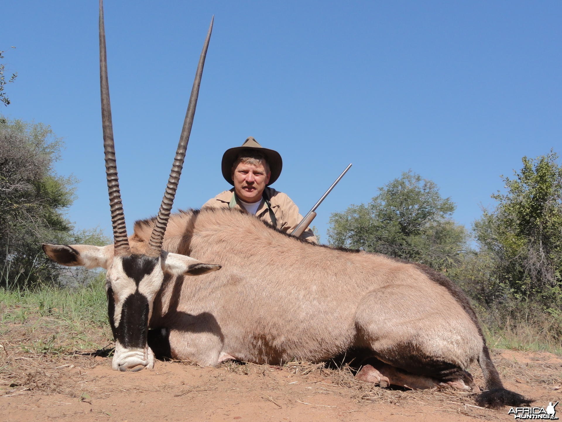 Gemsbok South Africa