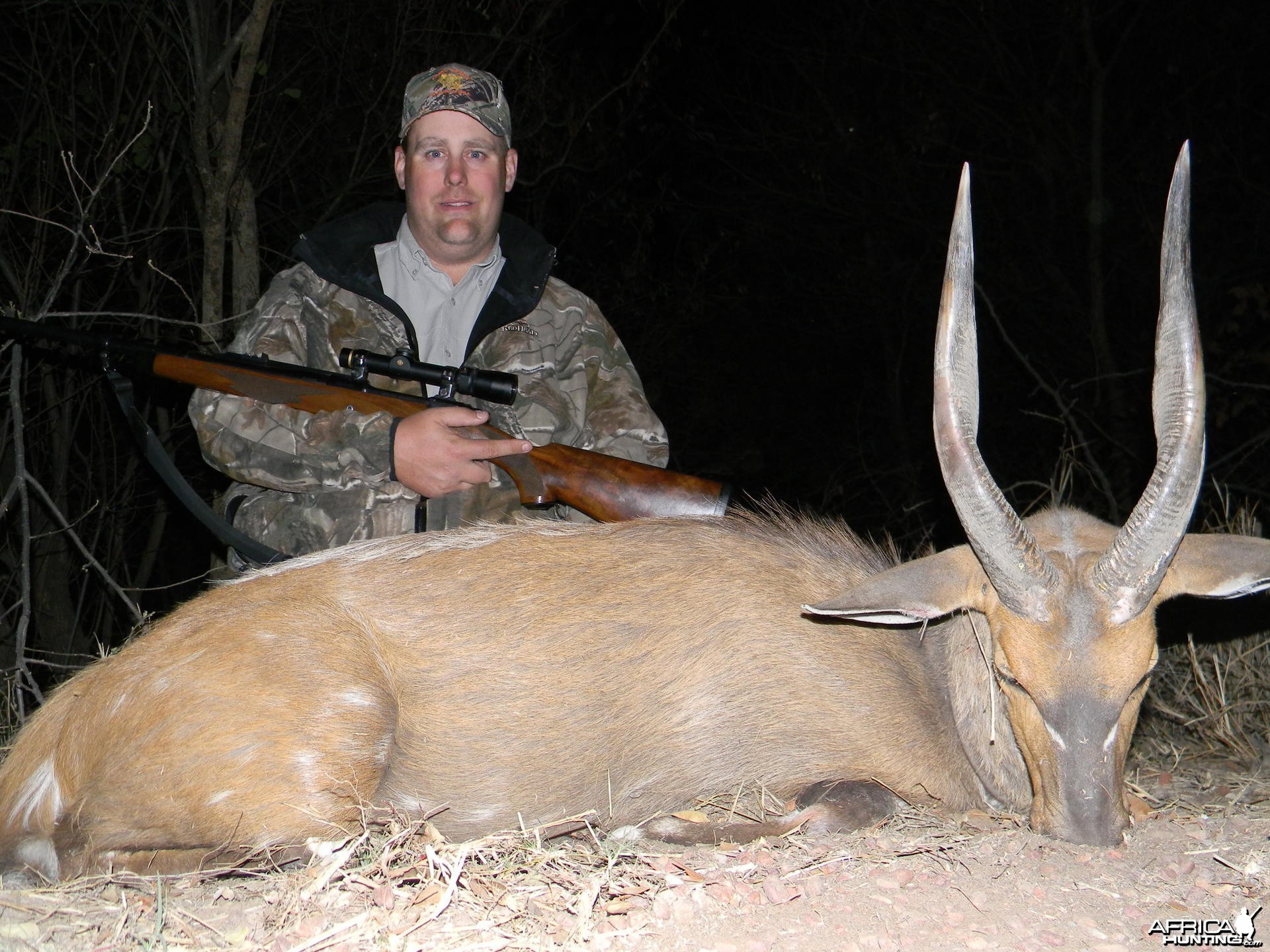 Bushbuck South Africa