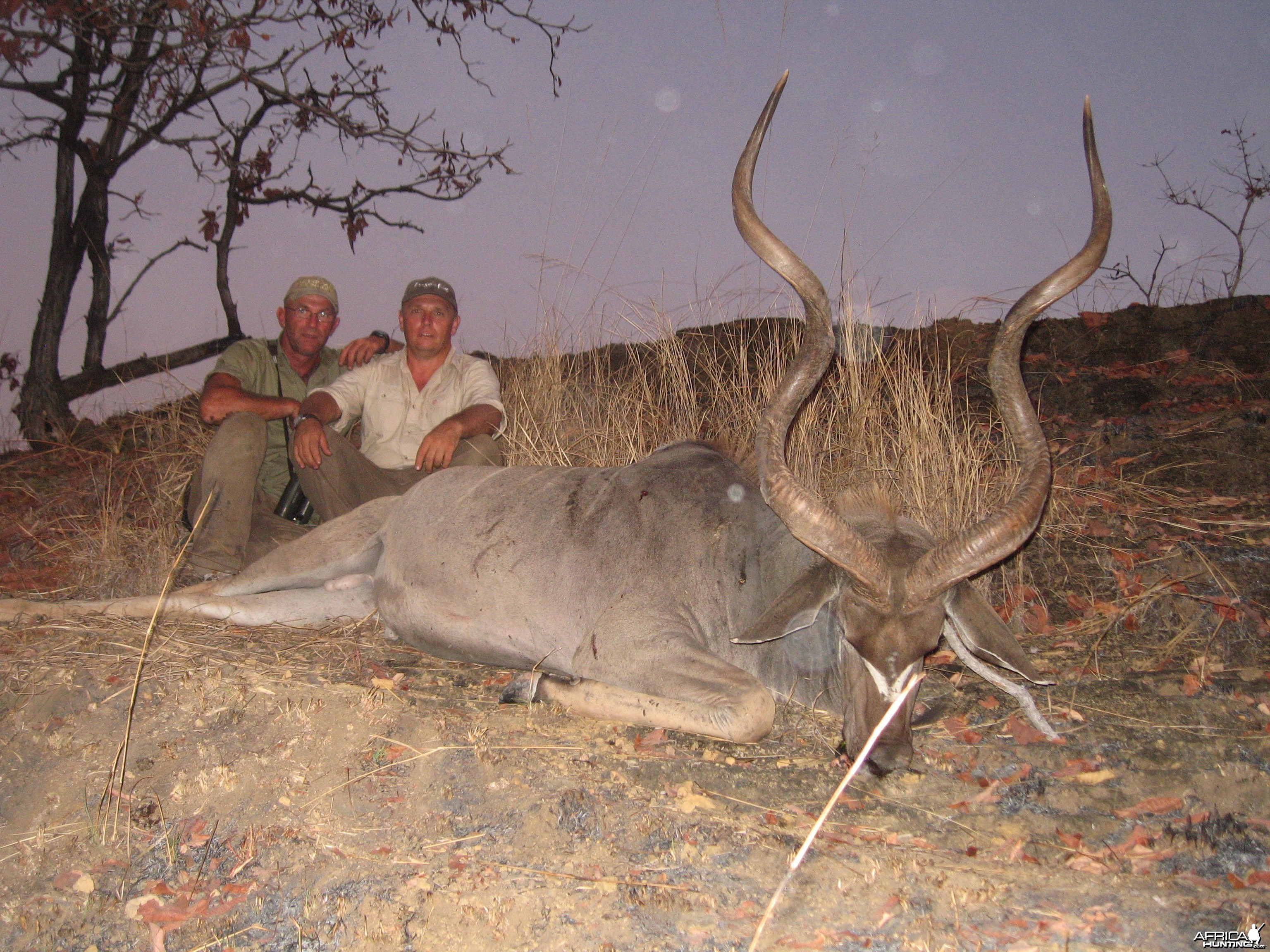 Big 55 inch East African Kudu from Selous Tanzania