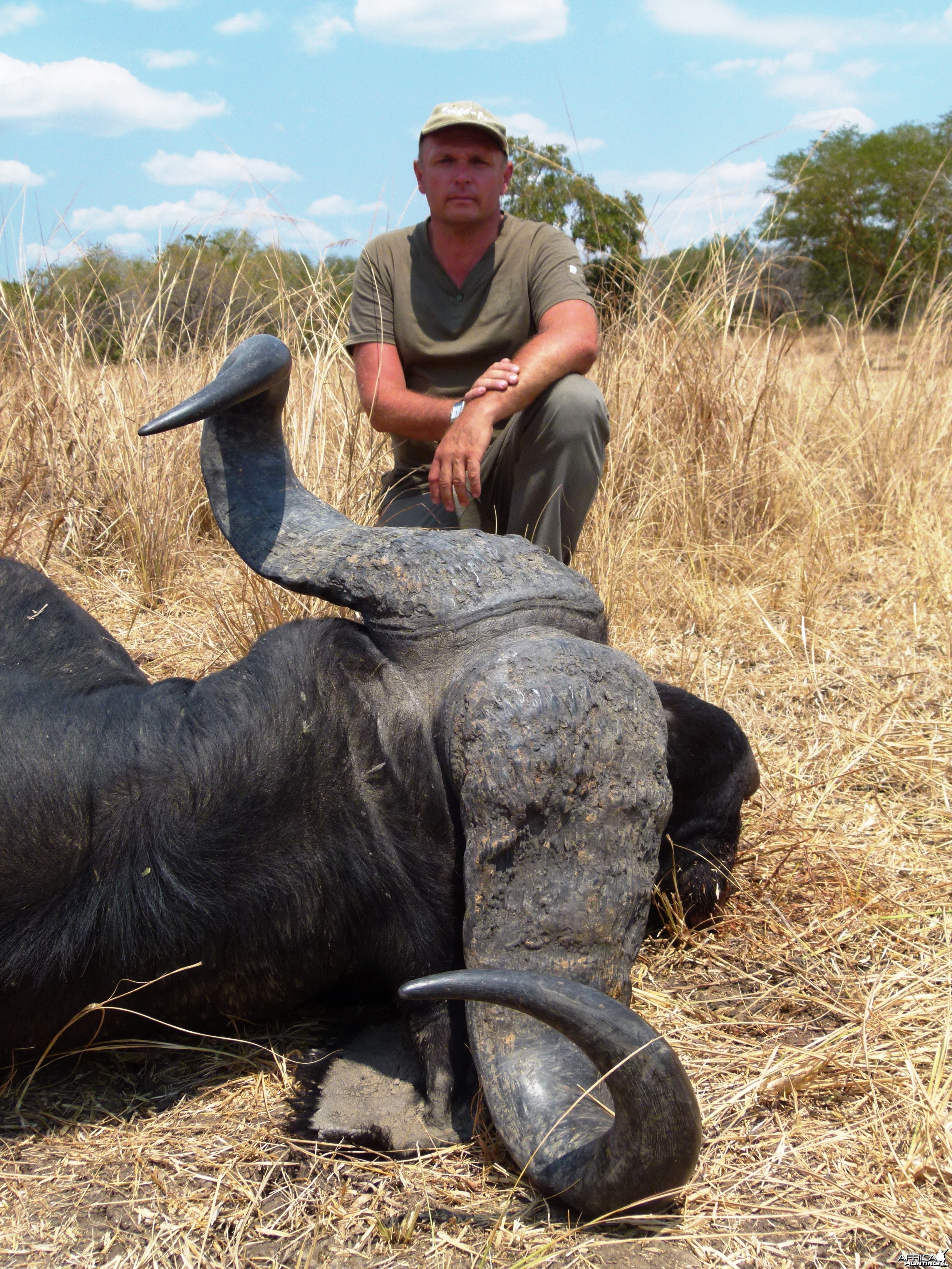 Buffalo shot at 20 meter in a herd... Tanzania