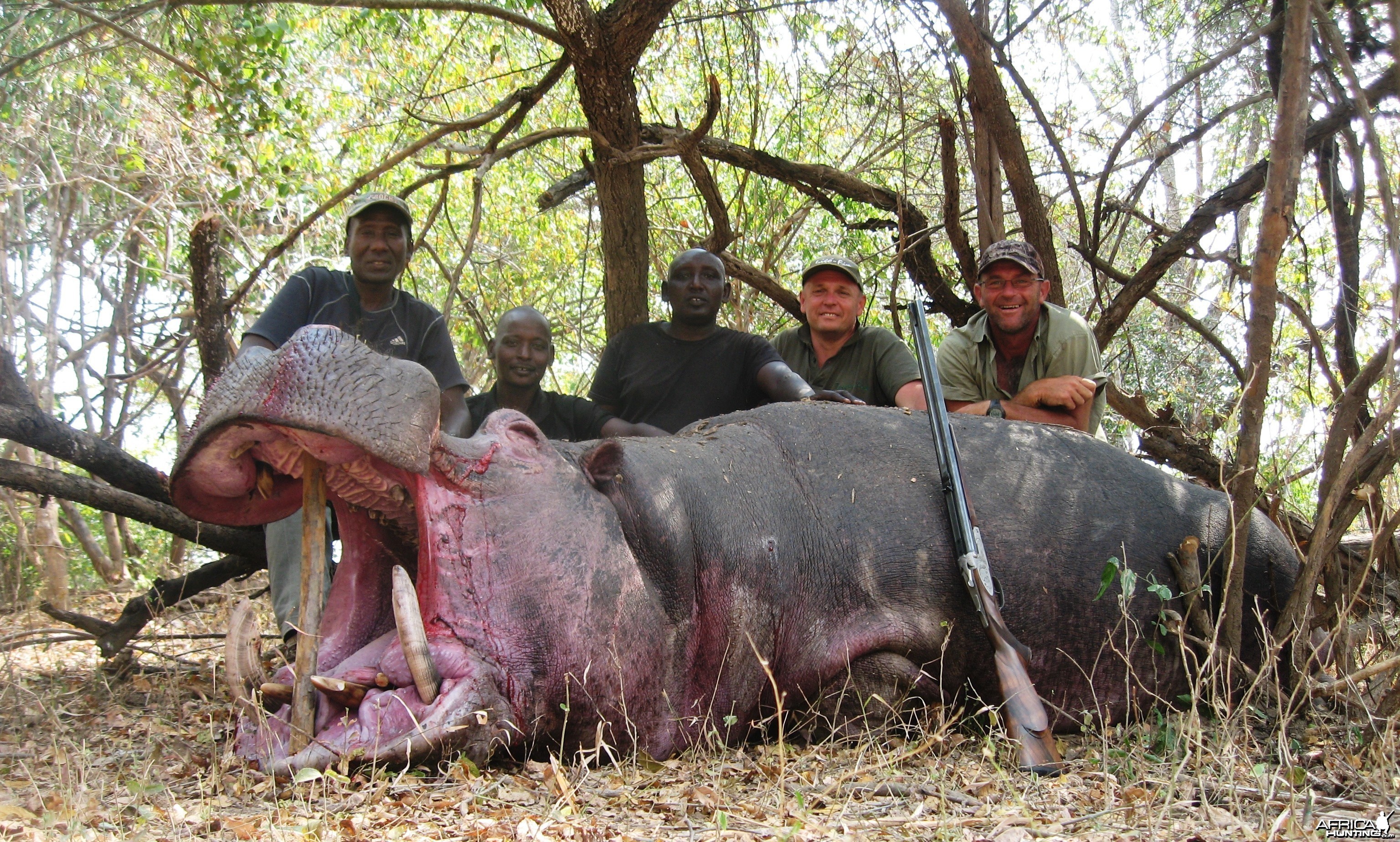 Hunting Hippo in Tanzania