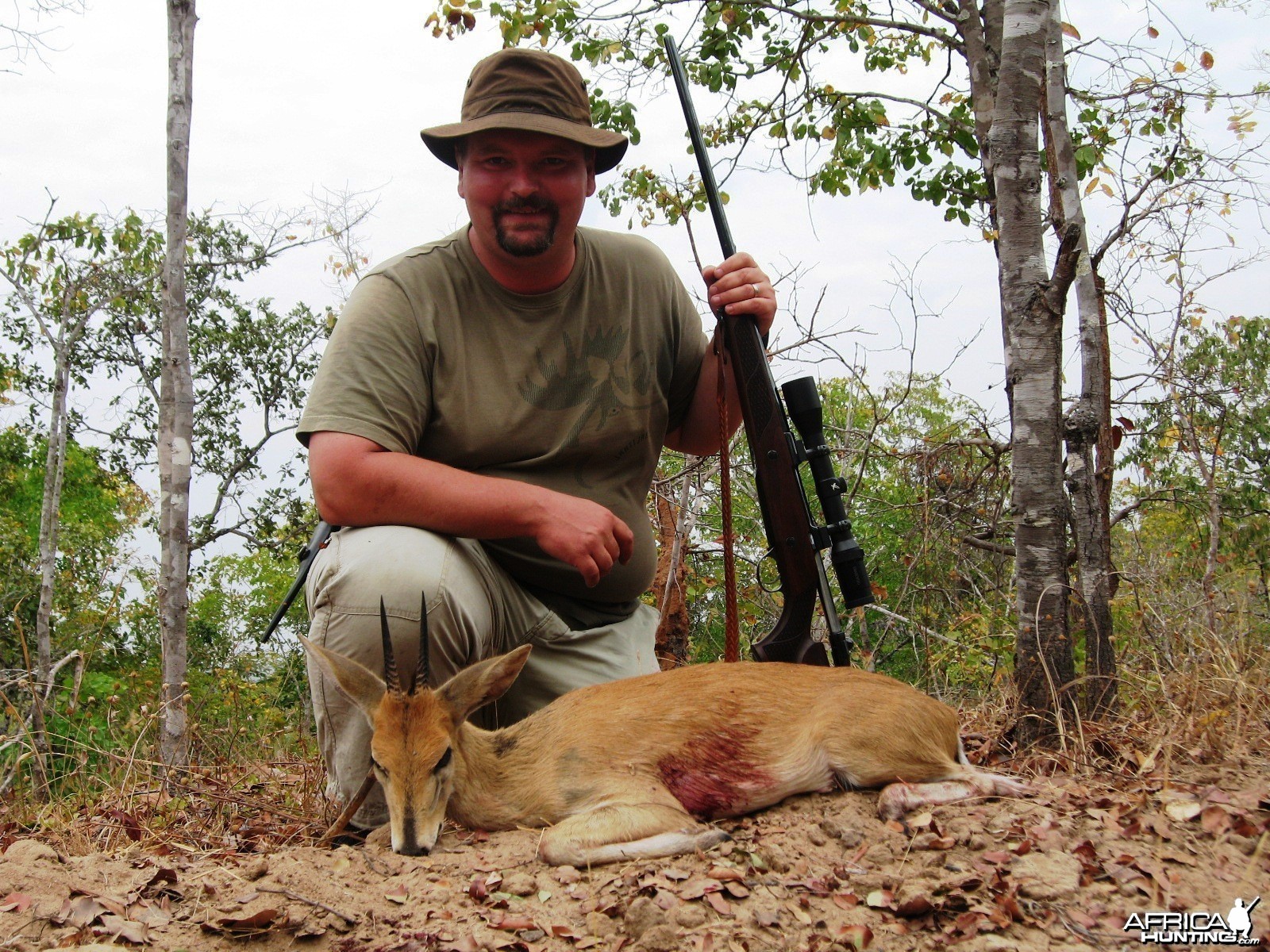 5 inch Eastern Bush Duiker