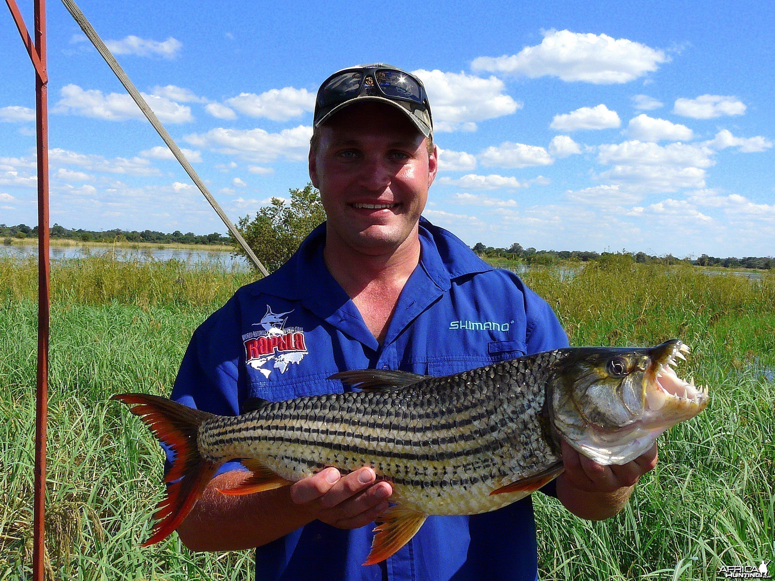 4.5kg Tiger Fish on the Okavango River, Namibia