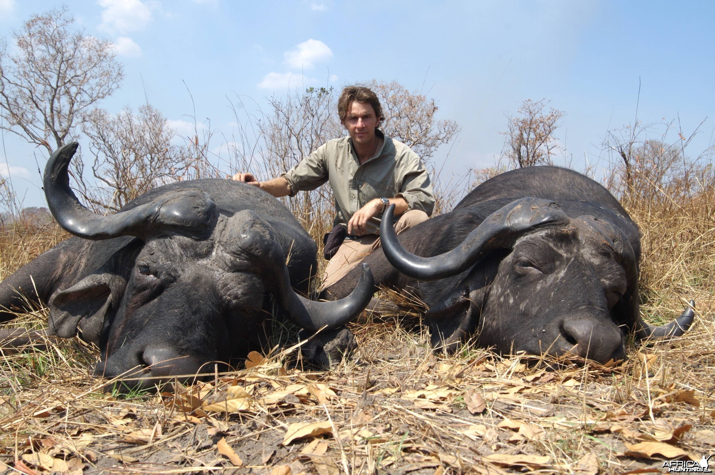 Buffalo Double Tanzania