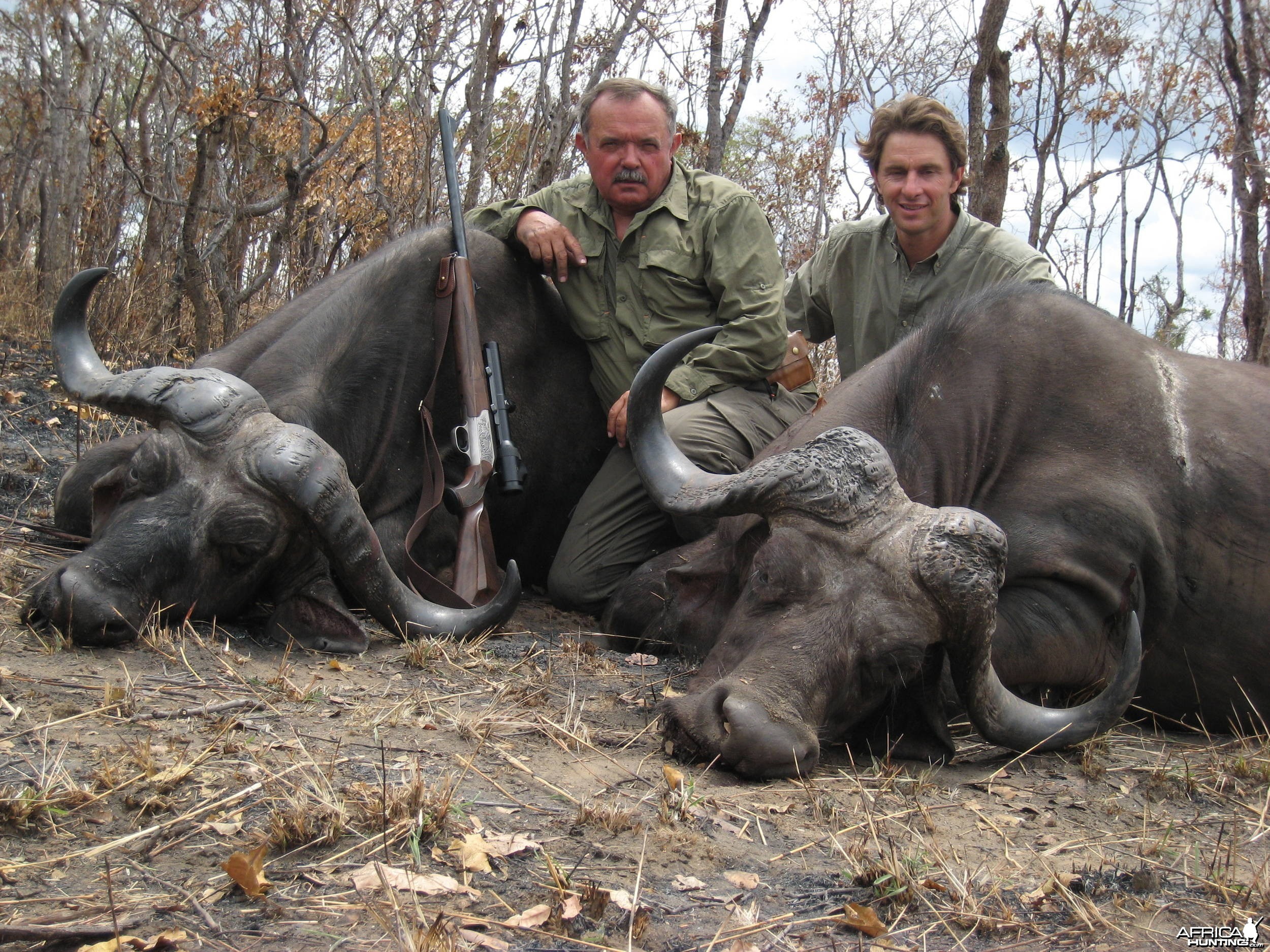 Buffalo Double Tanzania