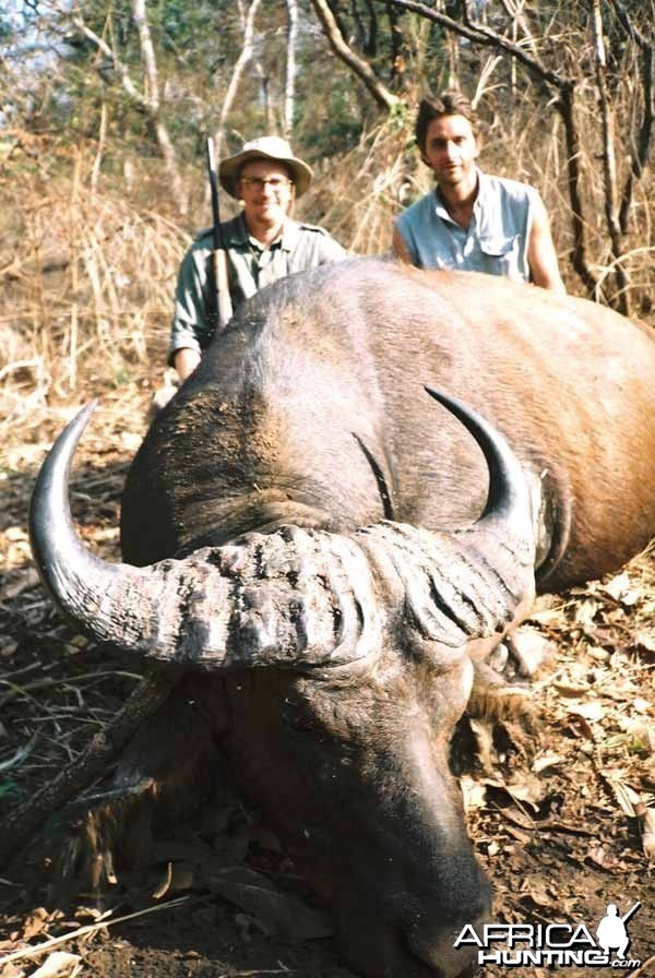 Buffalo CAR