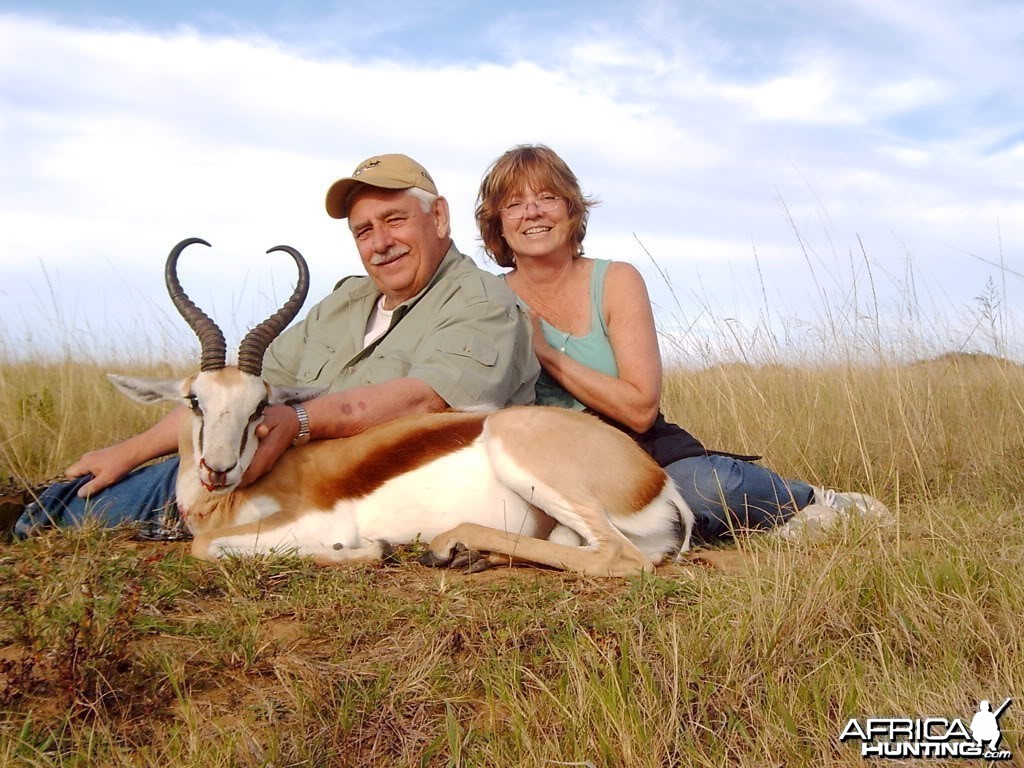 Springbok South Africa