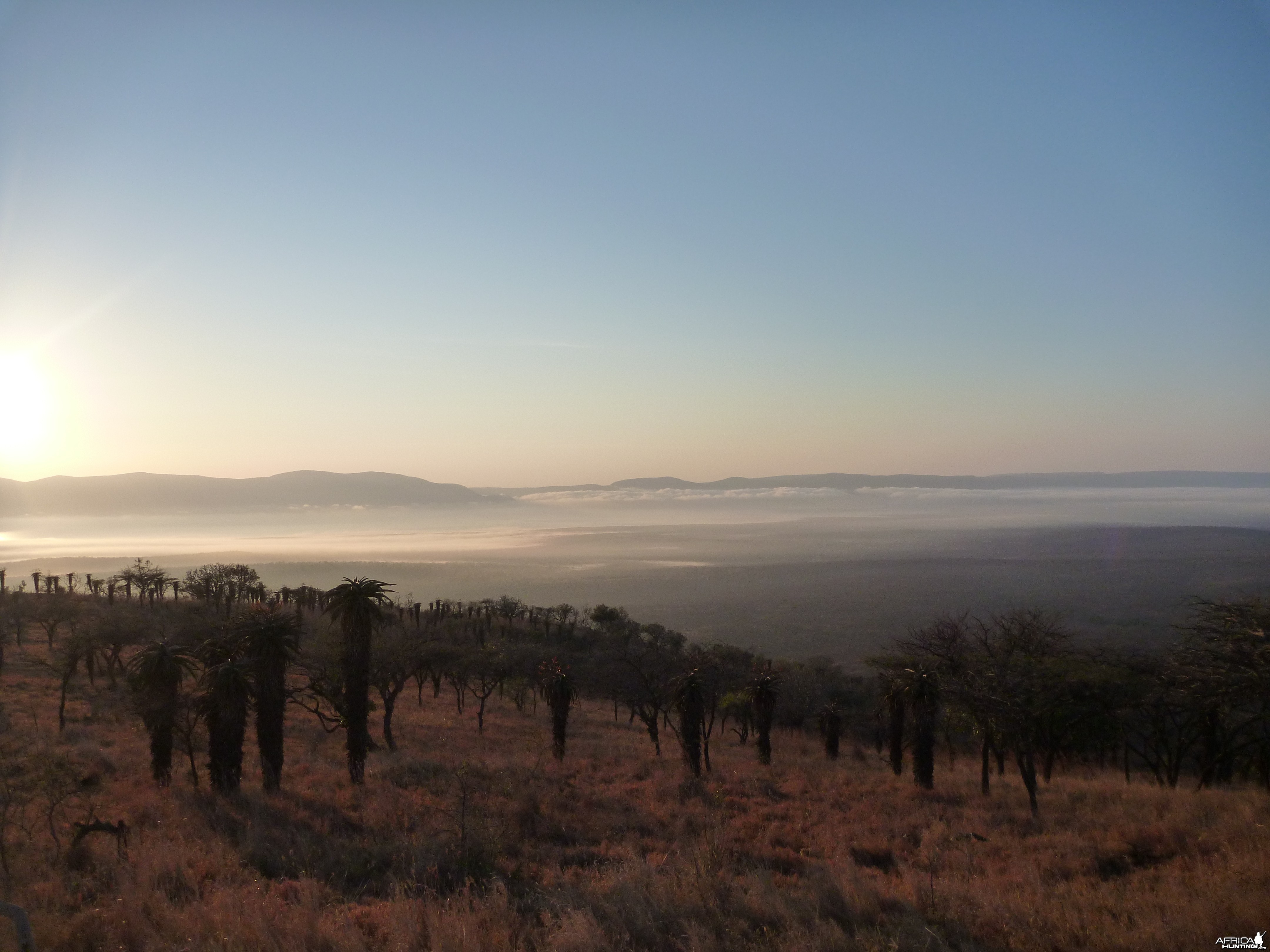 Leeukop Sunrise