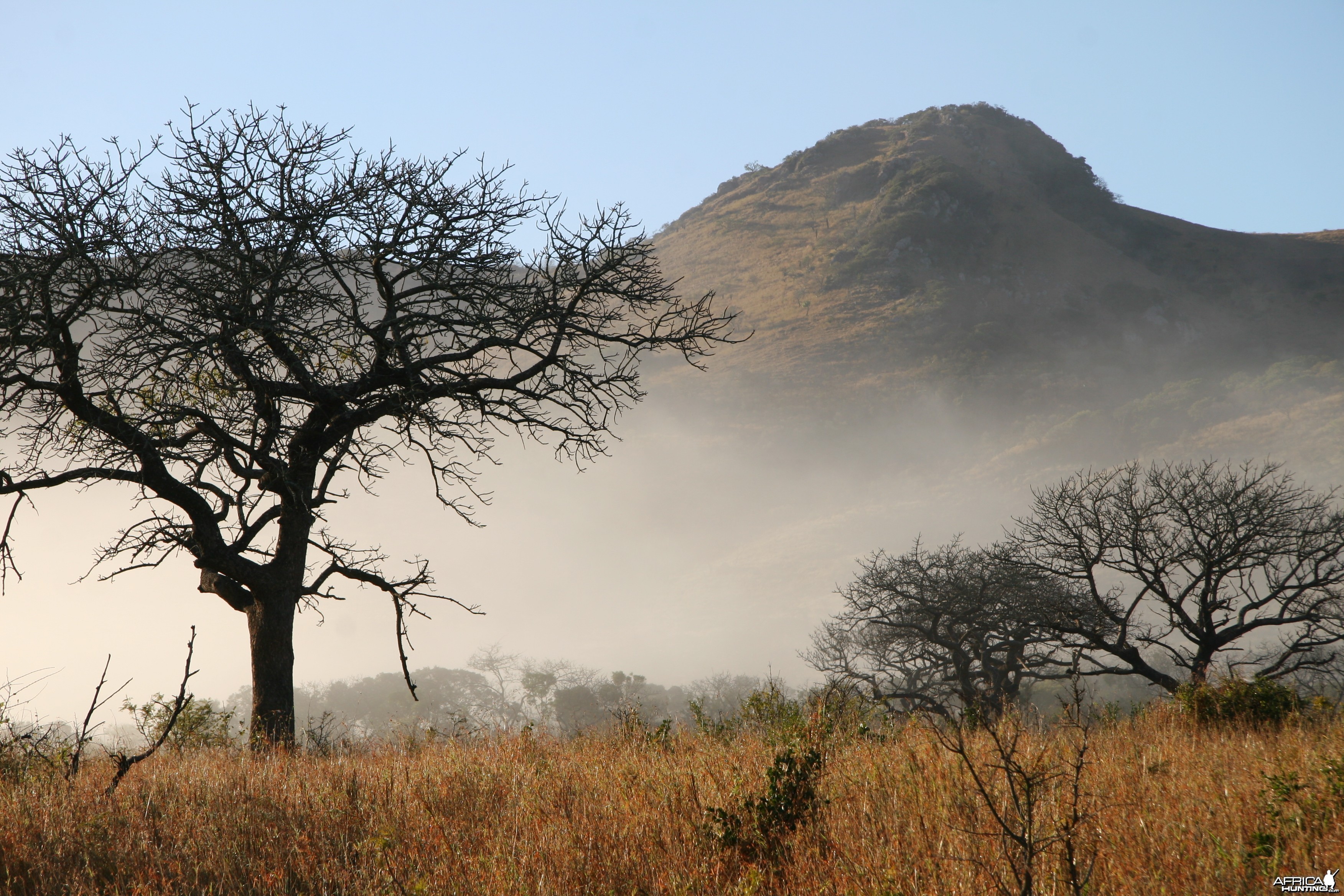 Hluhluwe Shadow