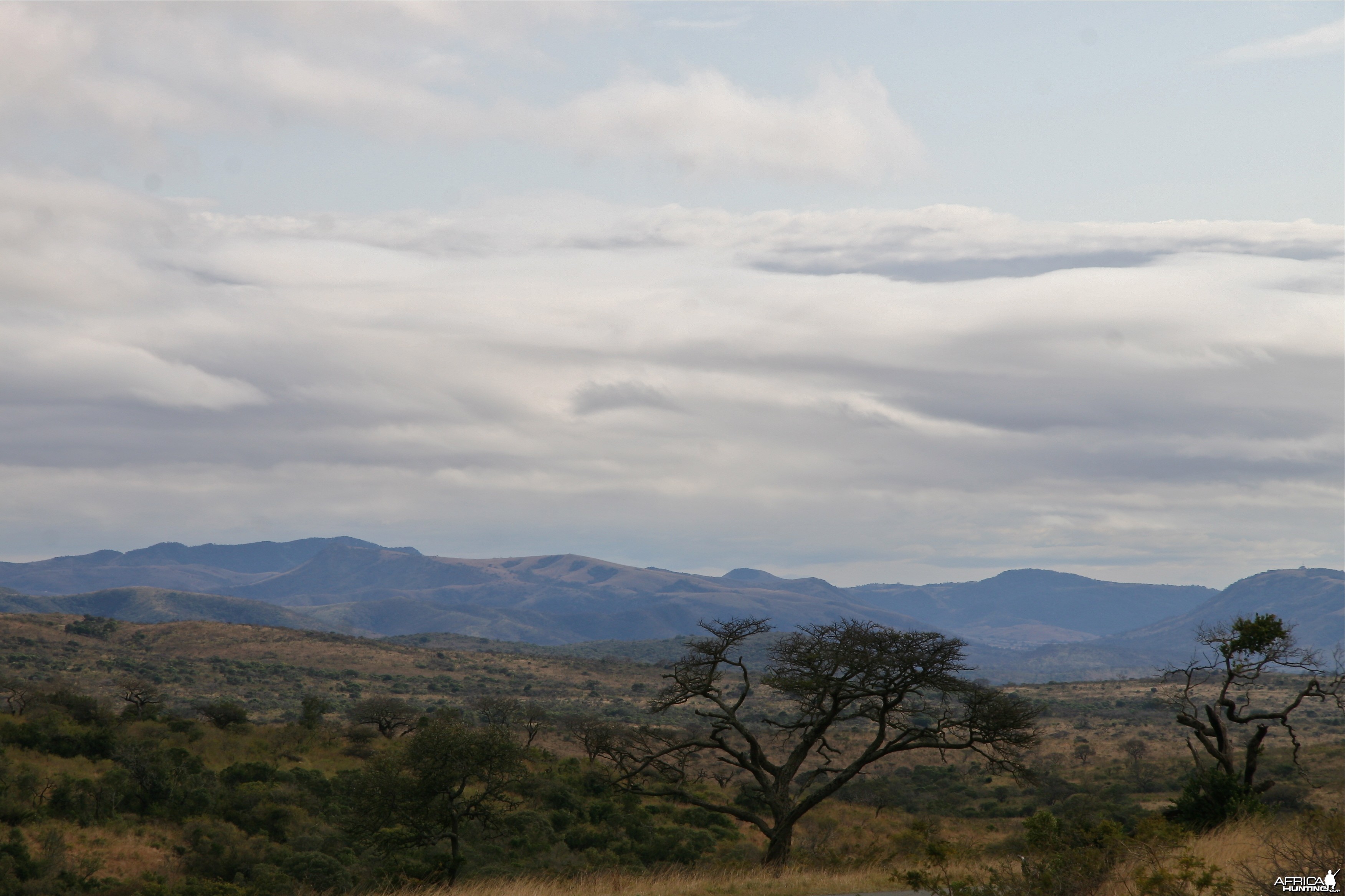 Hluhluwe Landscape