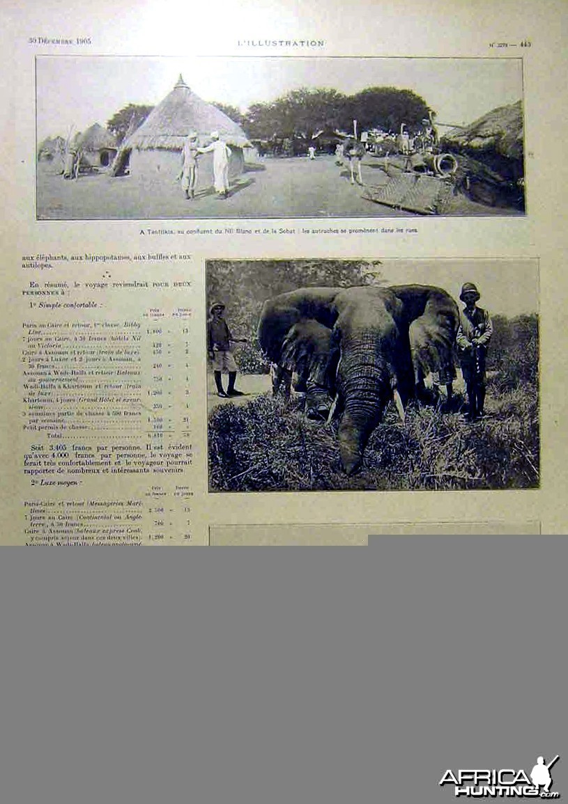 Big Game Elephant Hunt