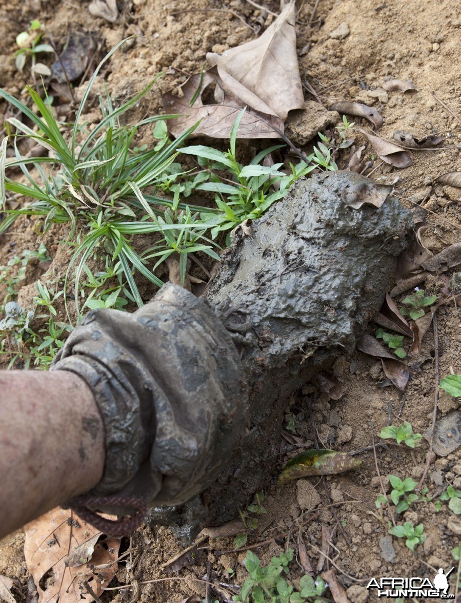 Boot caked in wet mud