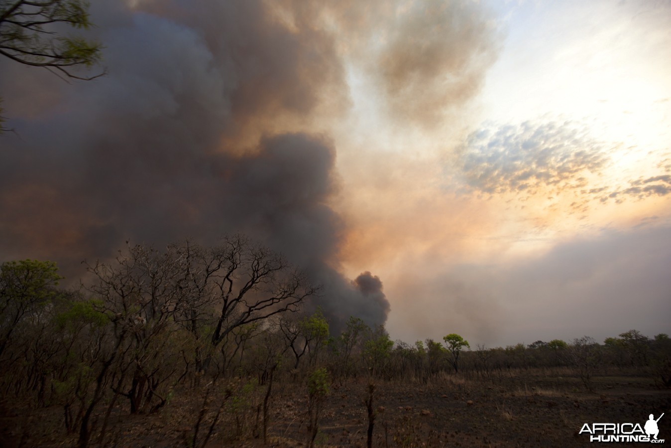 Smoke from grass fire in CAR