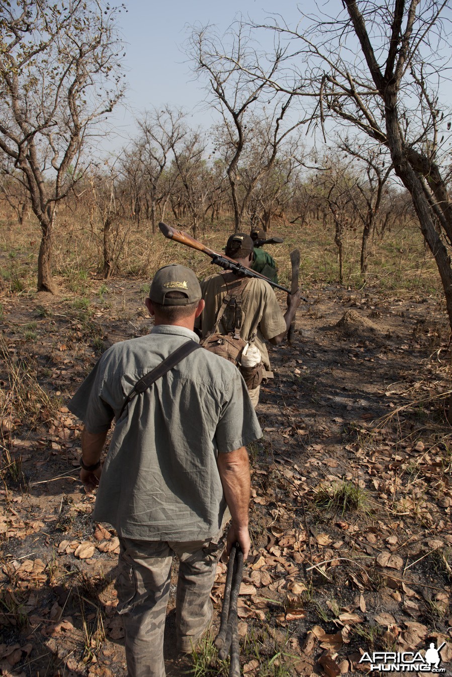 Tracking Eland in CAR